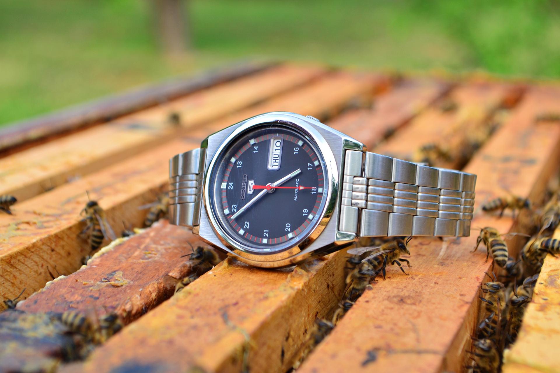 Naziv: DSC_0475 ....jpg, pregleda: 220, veličina: 213,6 KB