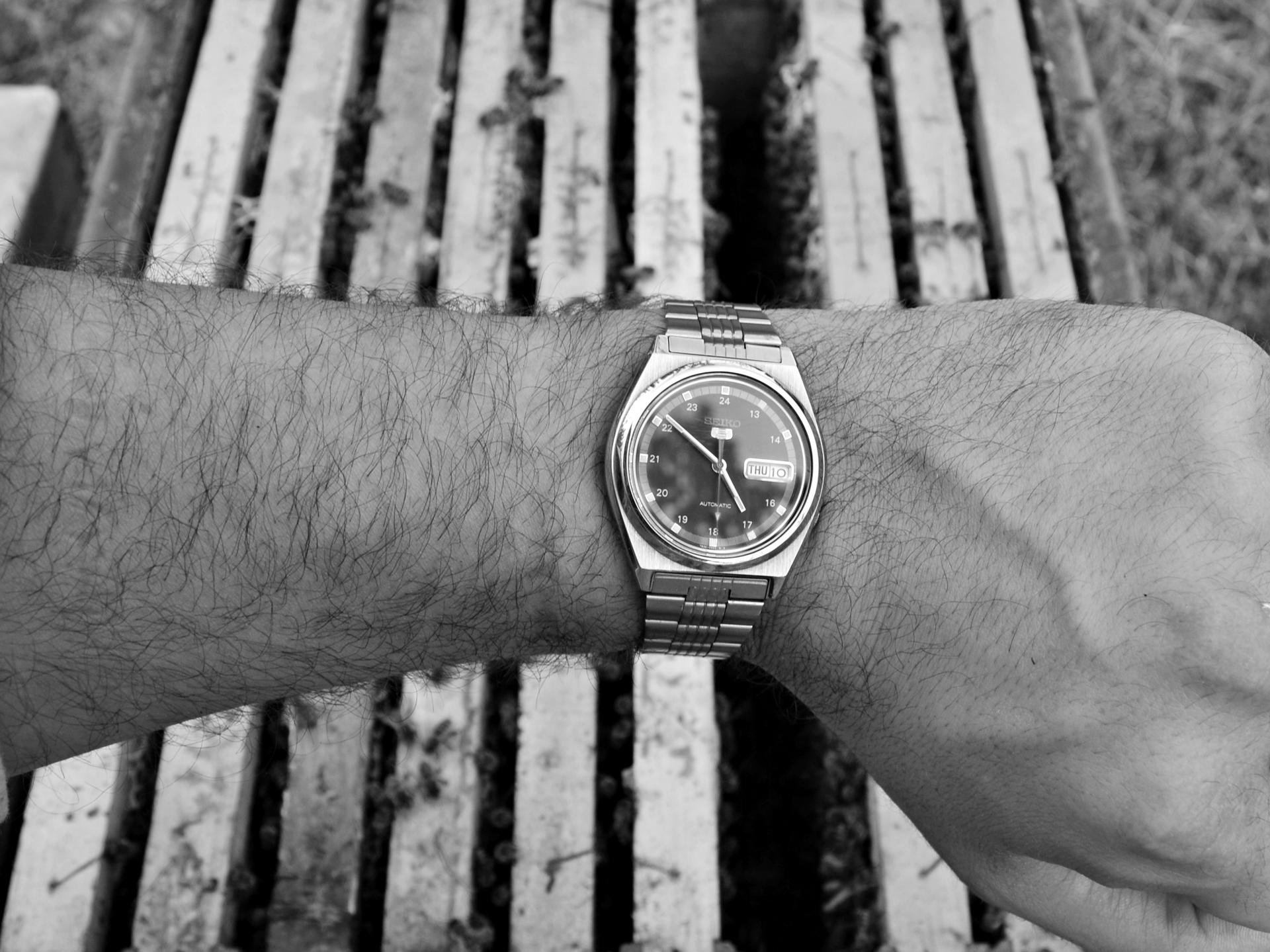 Naziv: DSC_0463 ....jpg, pregleda: 240, veličina: 296,5 KB