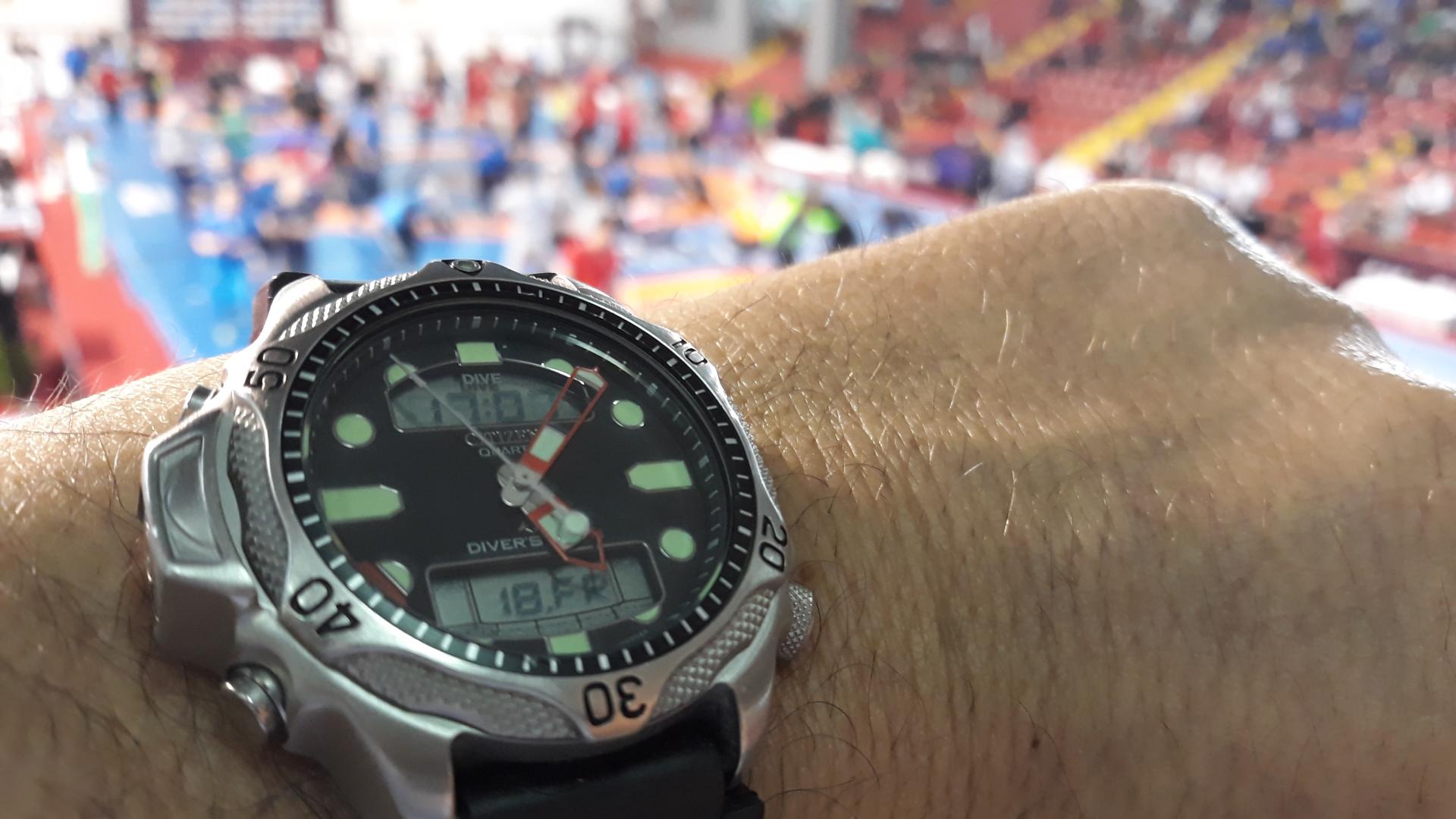 Naziv: 20180518_170722.jpg, pregleda: 176, veličina: 170,2 KB