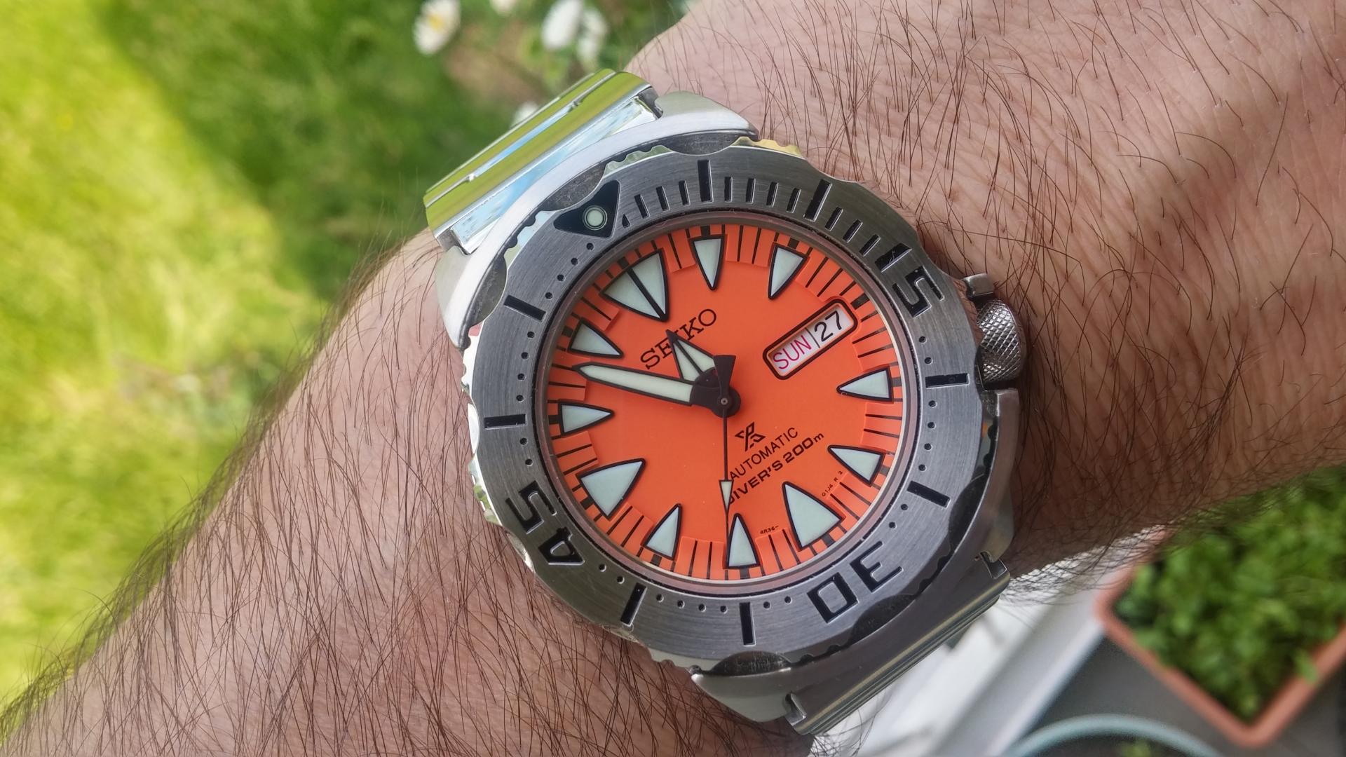 Naziv: 20180527_115217_HDR.jpg, pregleda: 188, veličina: 271,8 KB