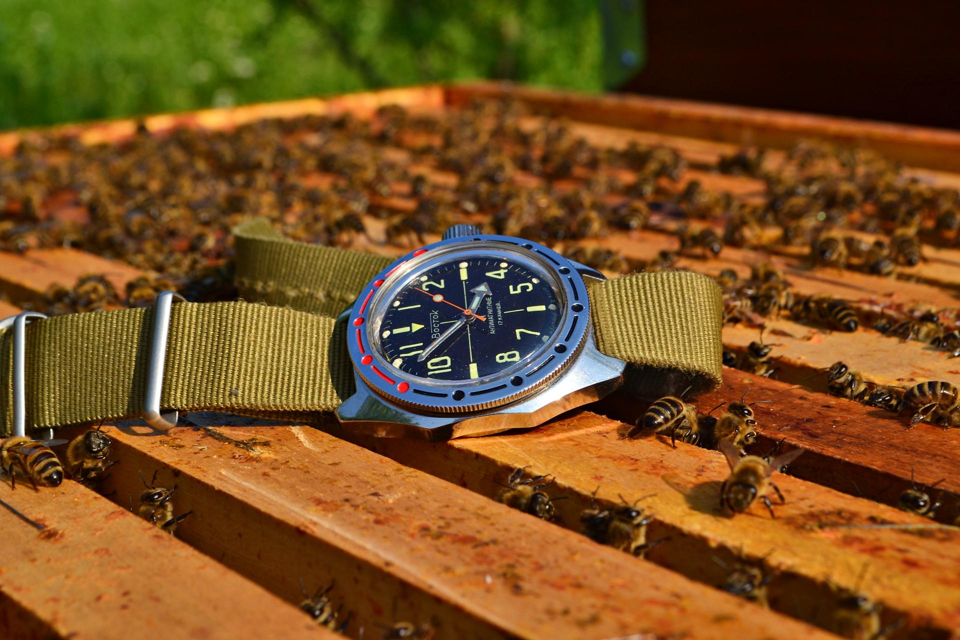 Naziv: DSC_0809 ....jpg, pregleda: 341, veličina: 286,5 KB