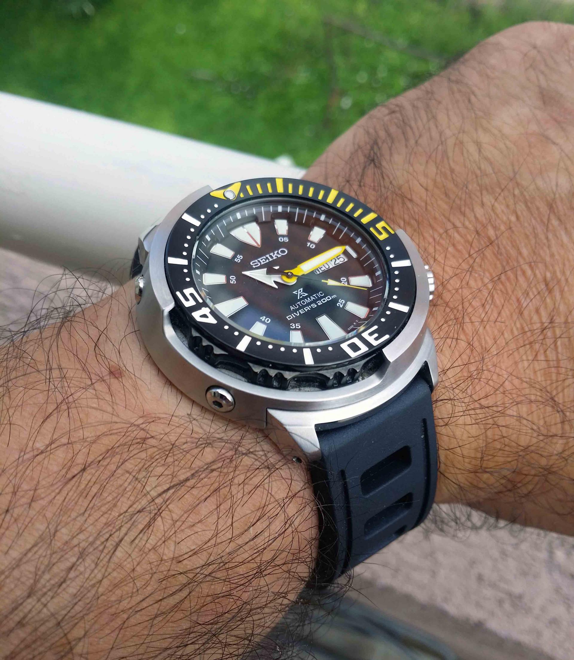 Naziv: 20180725_101406.jpg, pregleda: 202, veličina: 434,0 KB