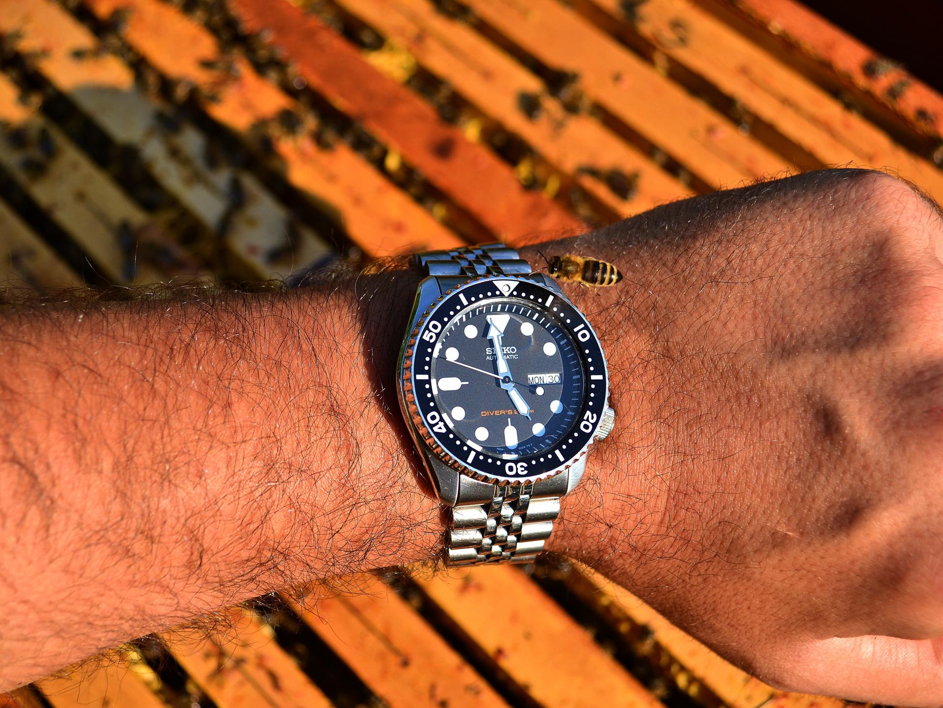 Naziv: DSC_0978 ....jpg, pregleda: 159, veličina: 412,1 KB