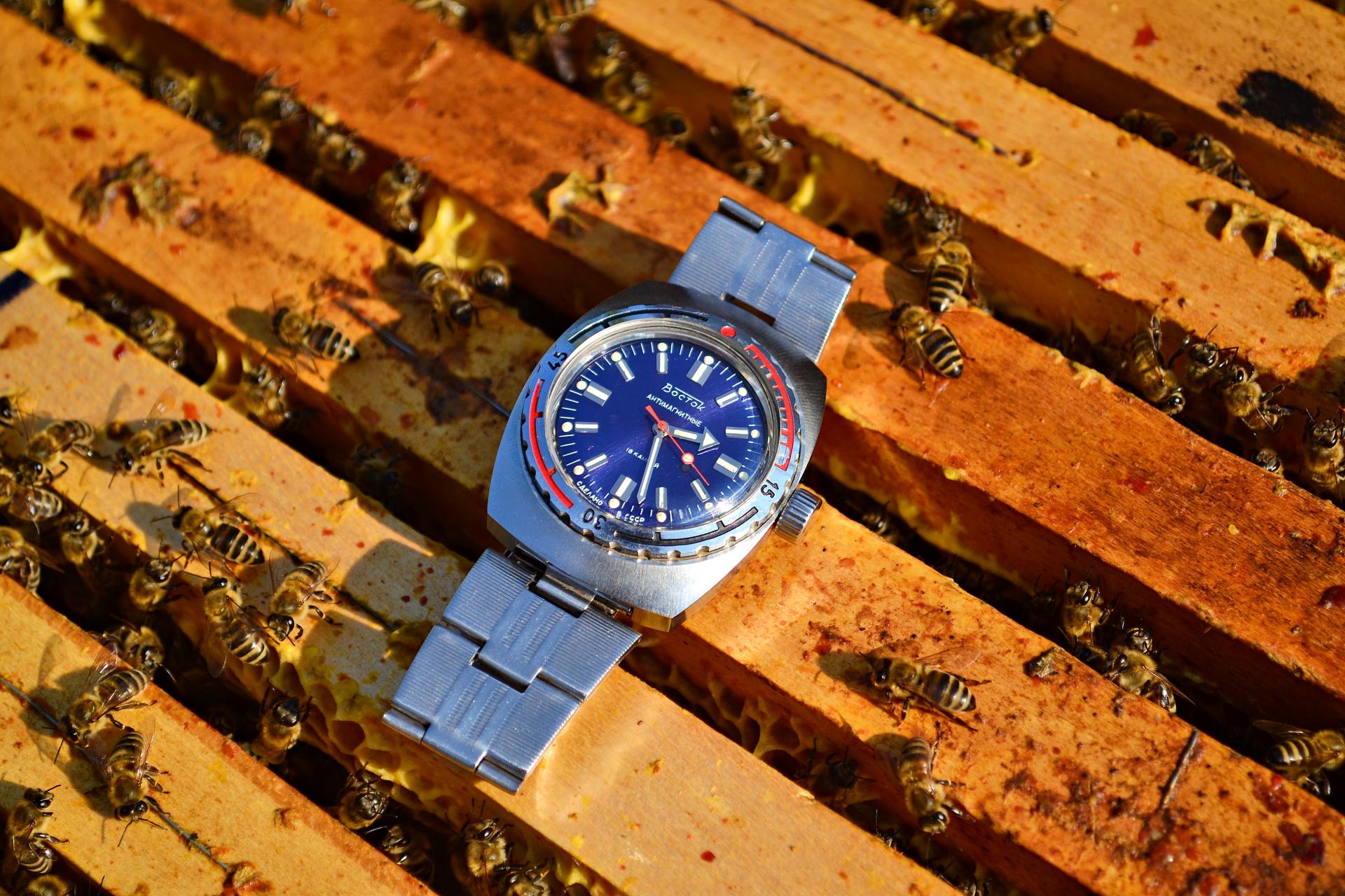 Naziv: DSC_1004 ....jpg, pregleda: 212, veličina: 369,0 KB