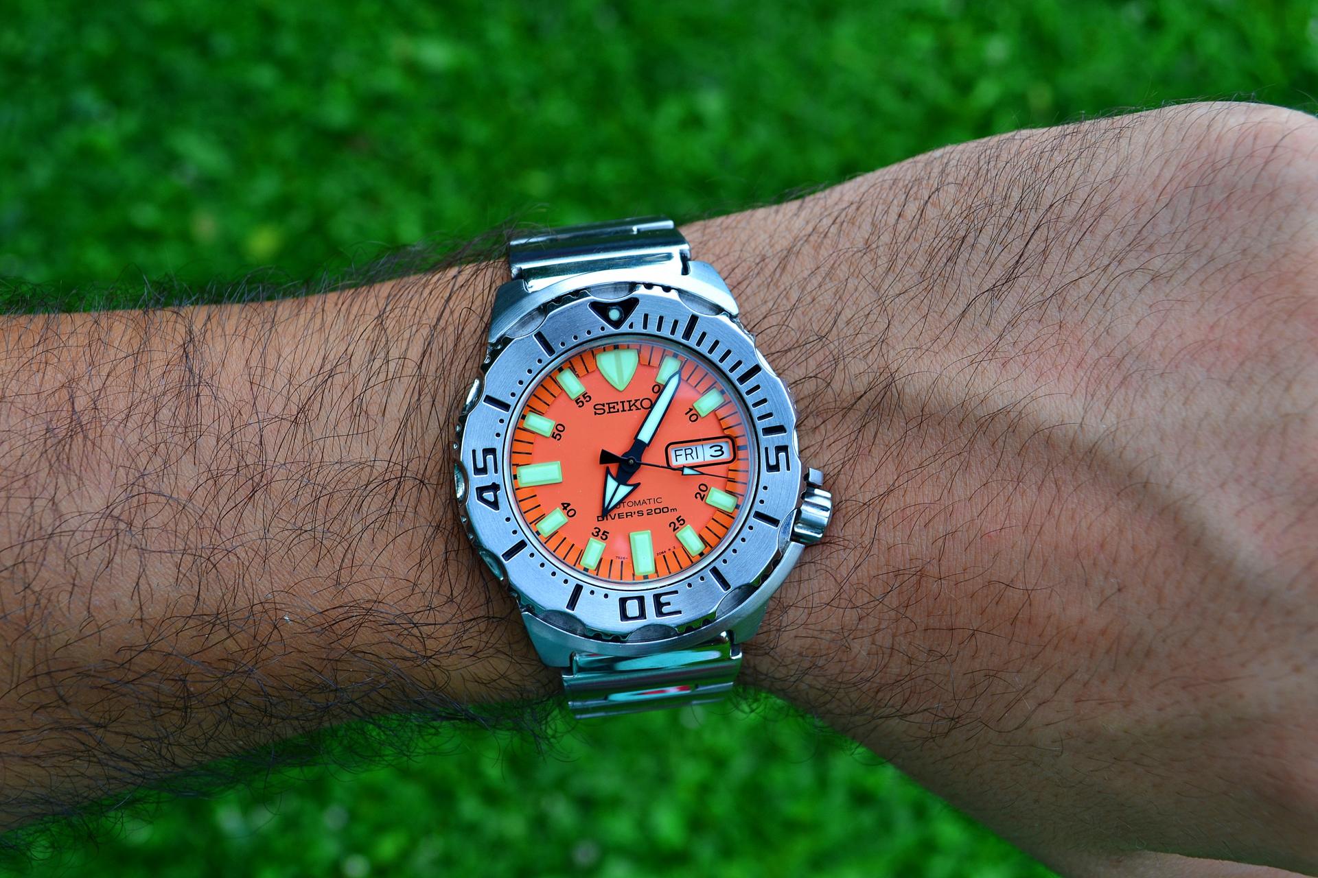 Naziv: DSC_1068 ....jpg, pregleda: 191, veličina: 351,9 KB