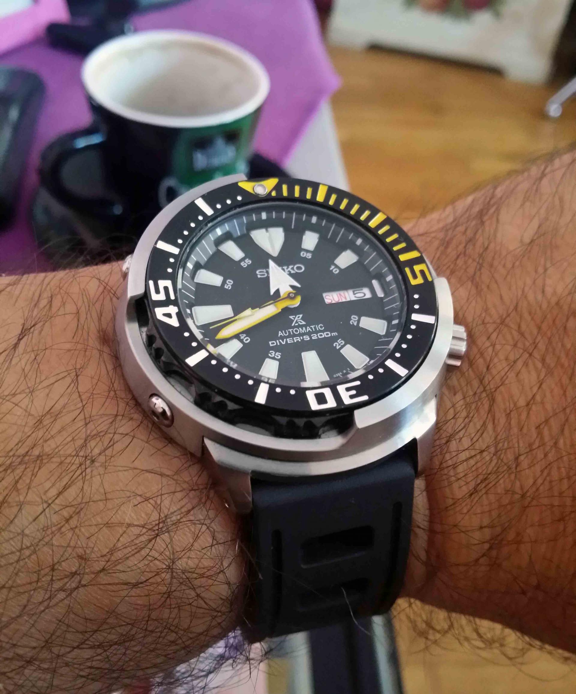 Naziv: 20180805_114205.jpg, pregleda: 169, veličina: 358,3 KB