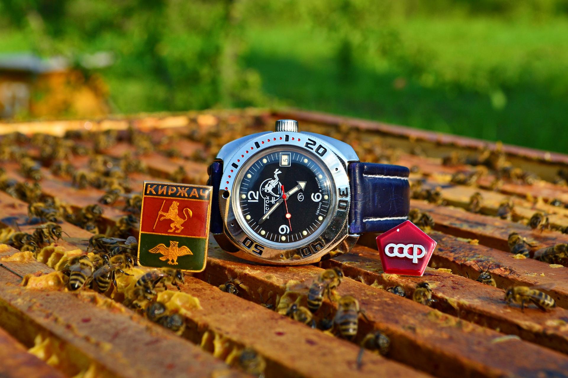 Naziv: DSC_1167 ...,,.jpg, pregleda: 170, veličina: 266,3 KB