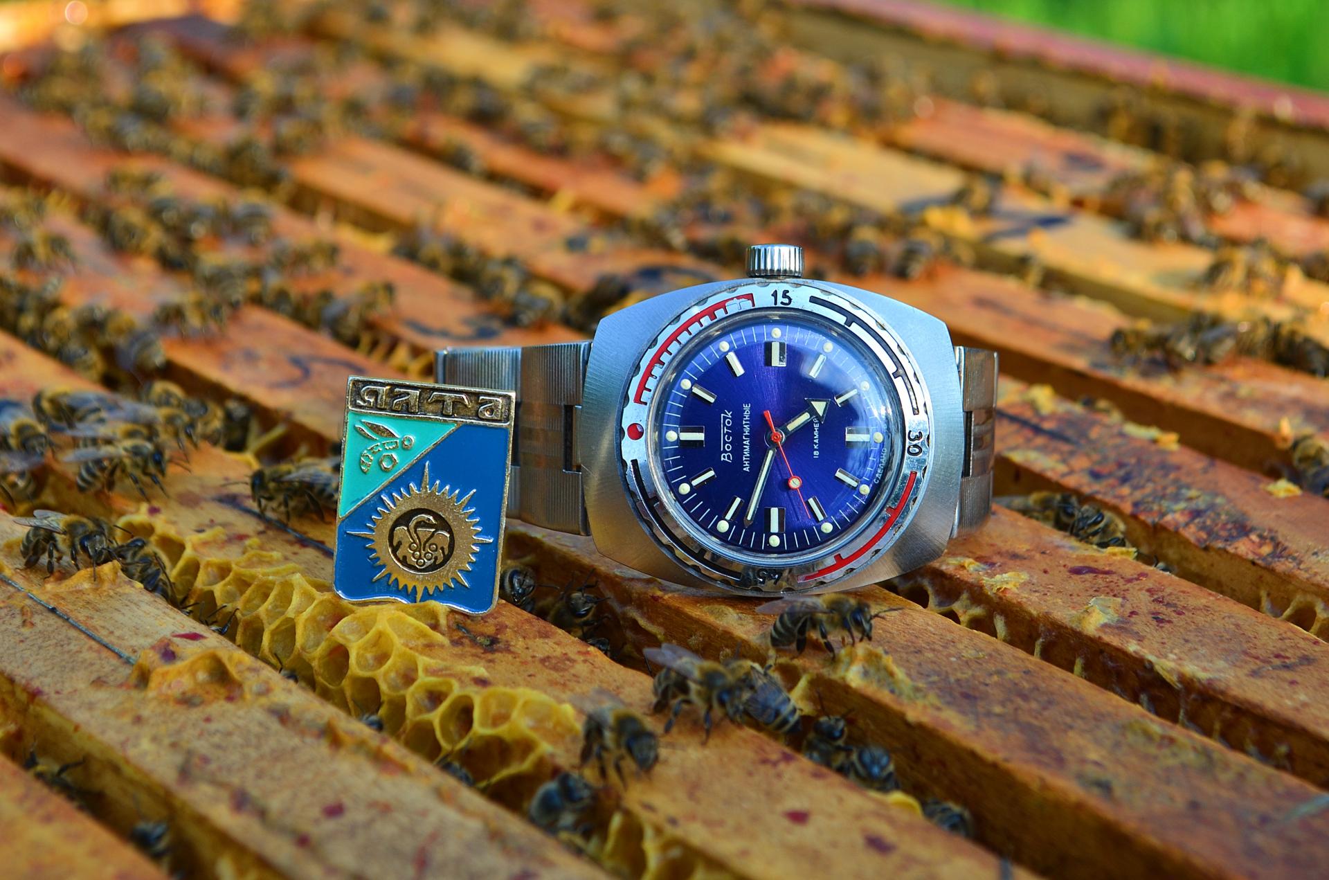 Naziv: DSC_1200 ....jpg, pregleda: 166, veličina: 288,2 KB