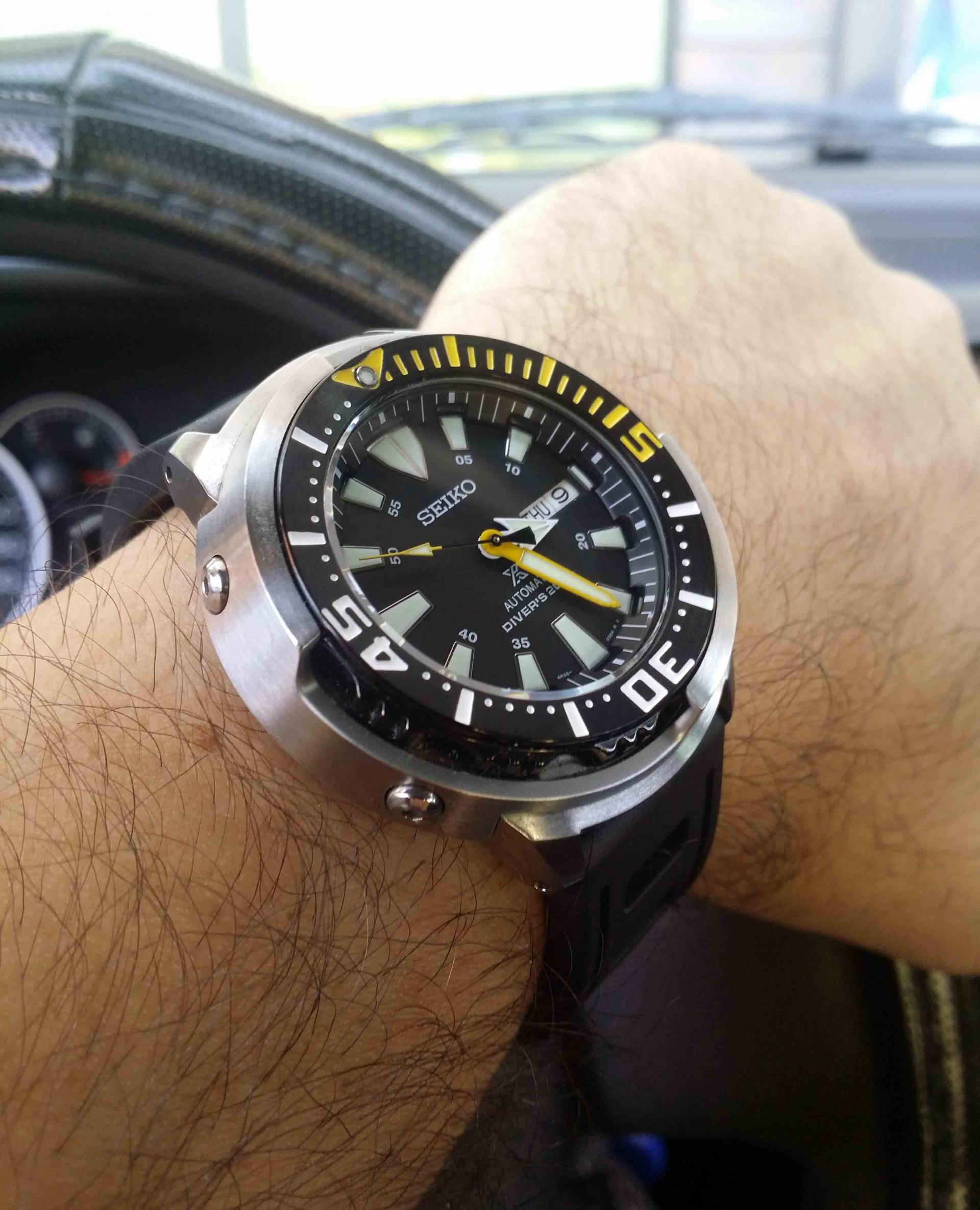 Naziv: 20180809_152628.jpg, pregleda: 158, veličina: 343,2 KB