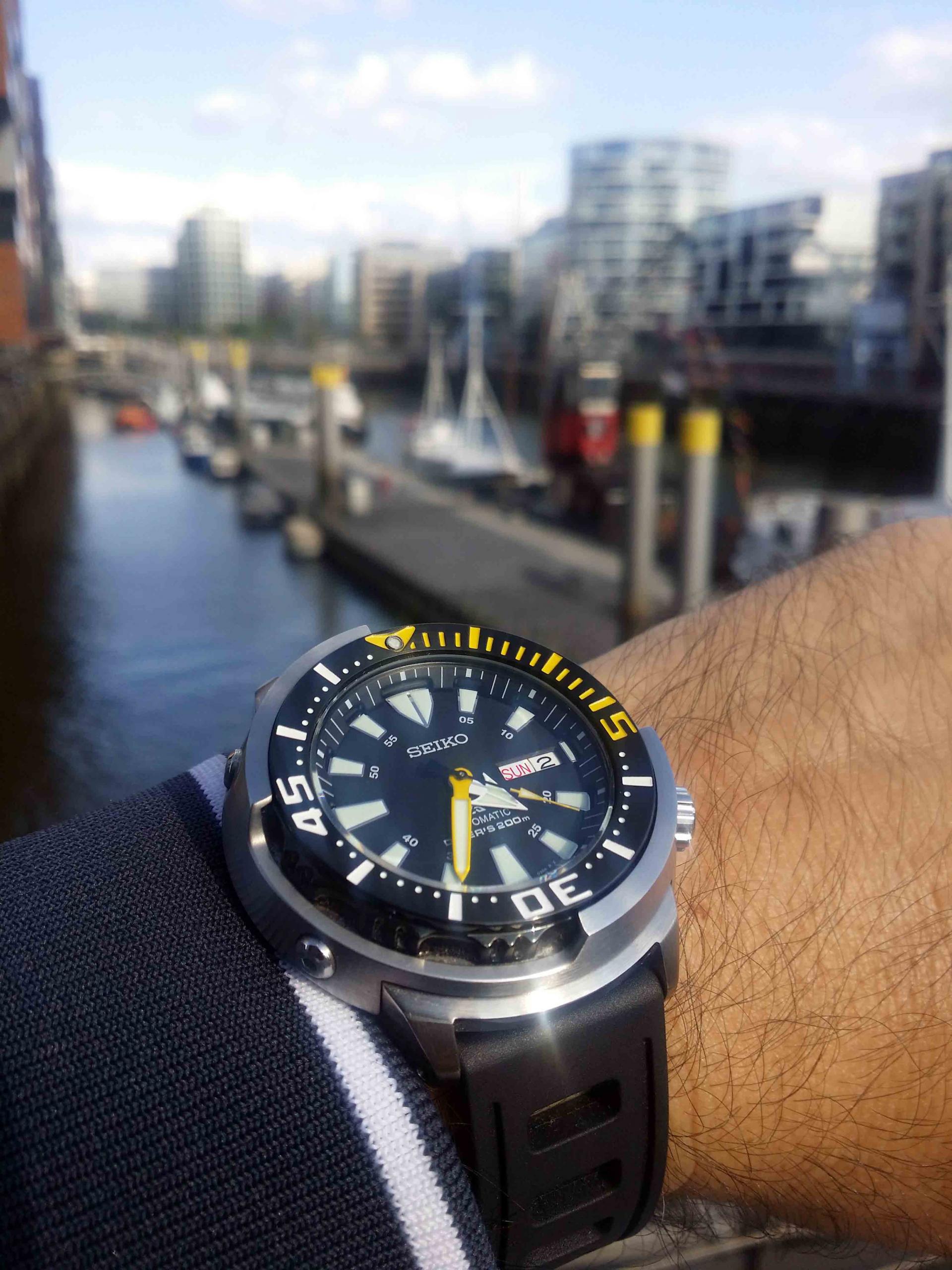 Naziv: 20180902_163615.jpg, pregleda: 173, veličina: 425,6 KB