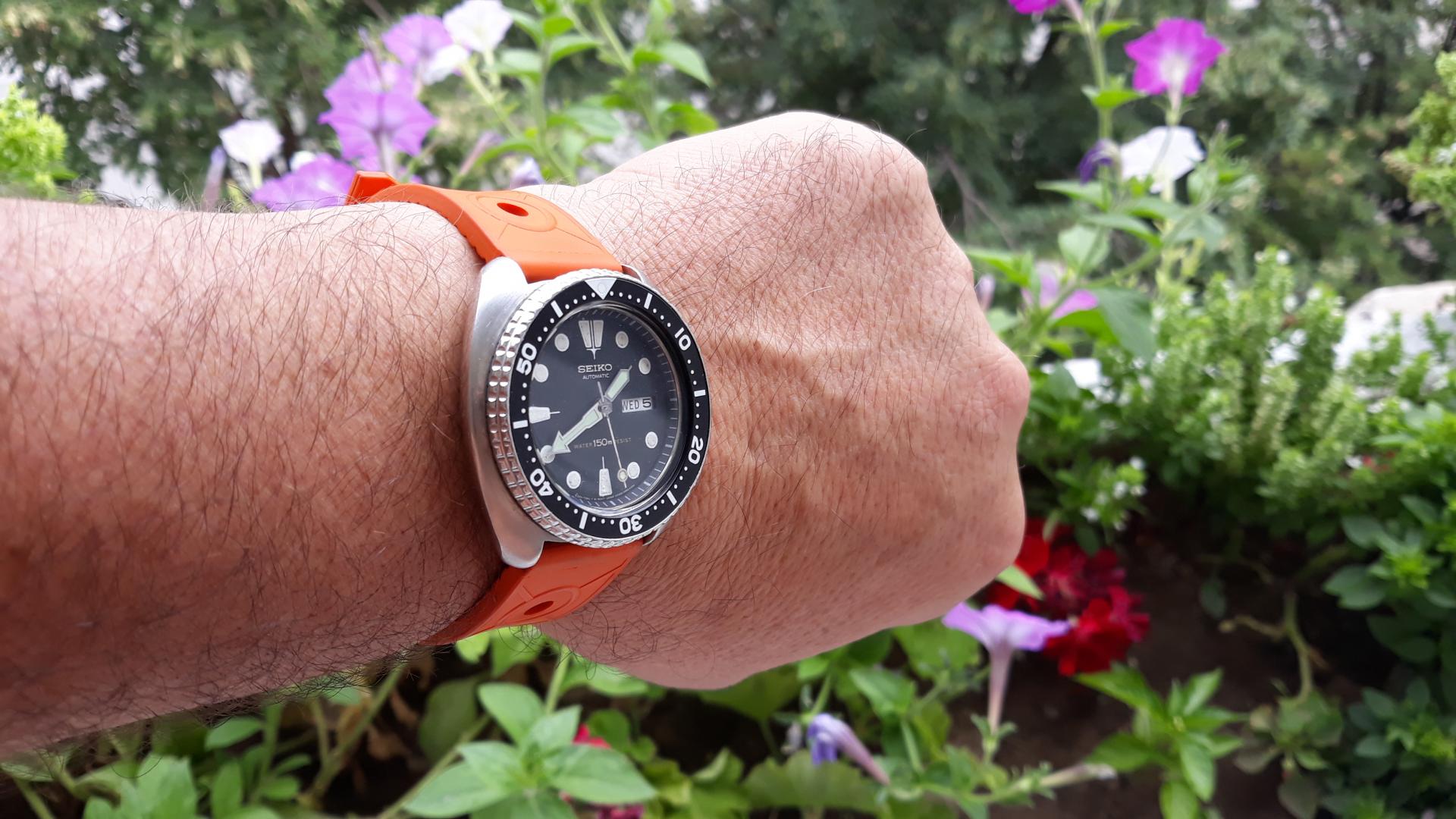 Naziv: 20180905_134445.jpg, pregleda: 167, veličina: 239,8 KB