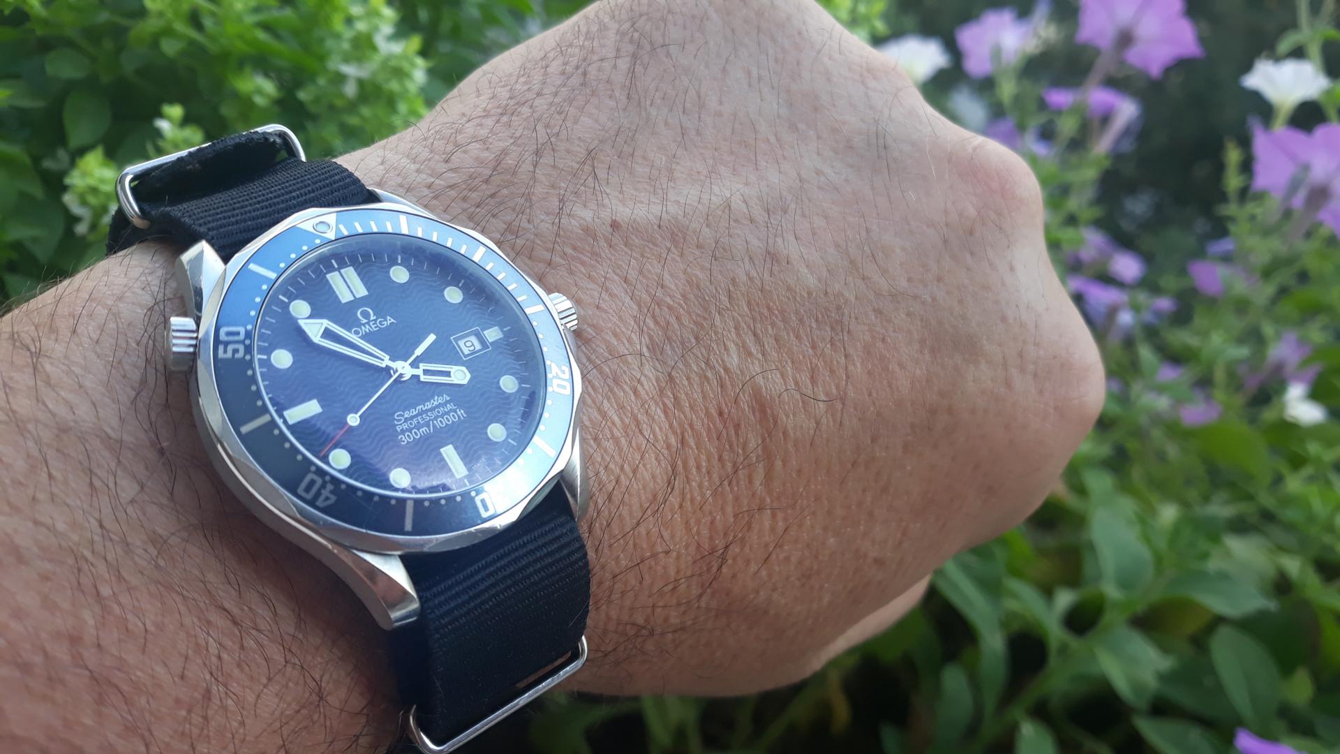 Naziv: 20180909_155350.jpg, pregleda: 197, veličina: 212,8 KB