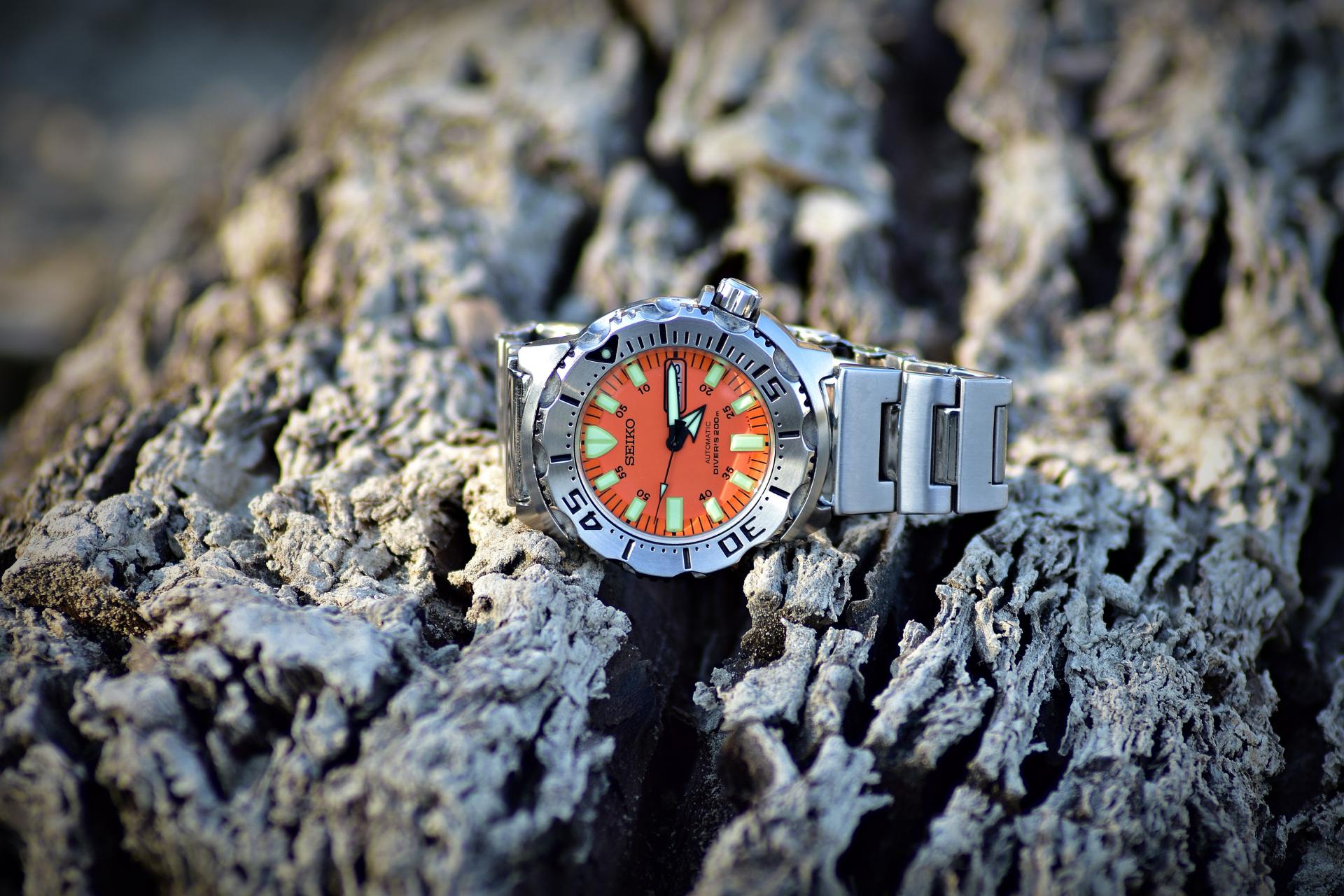 Naziv: DSC_0115 ....jpg, pregleda: 233, veličina: 316,0 KB