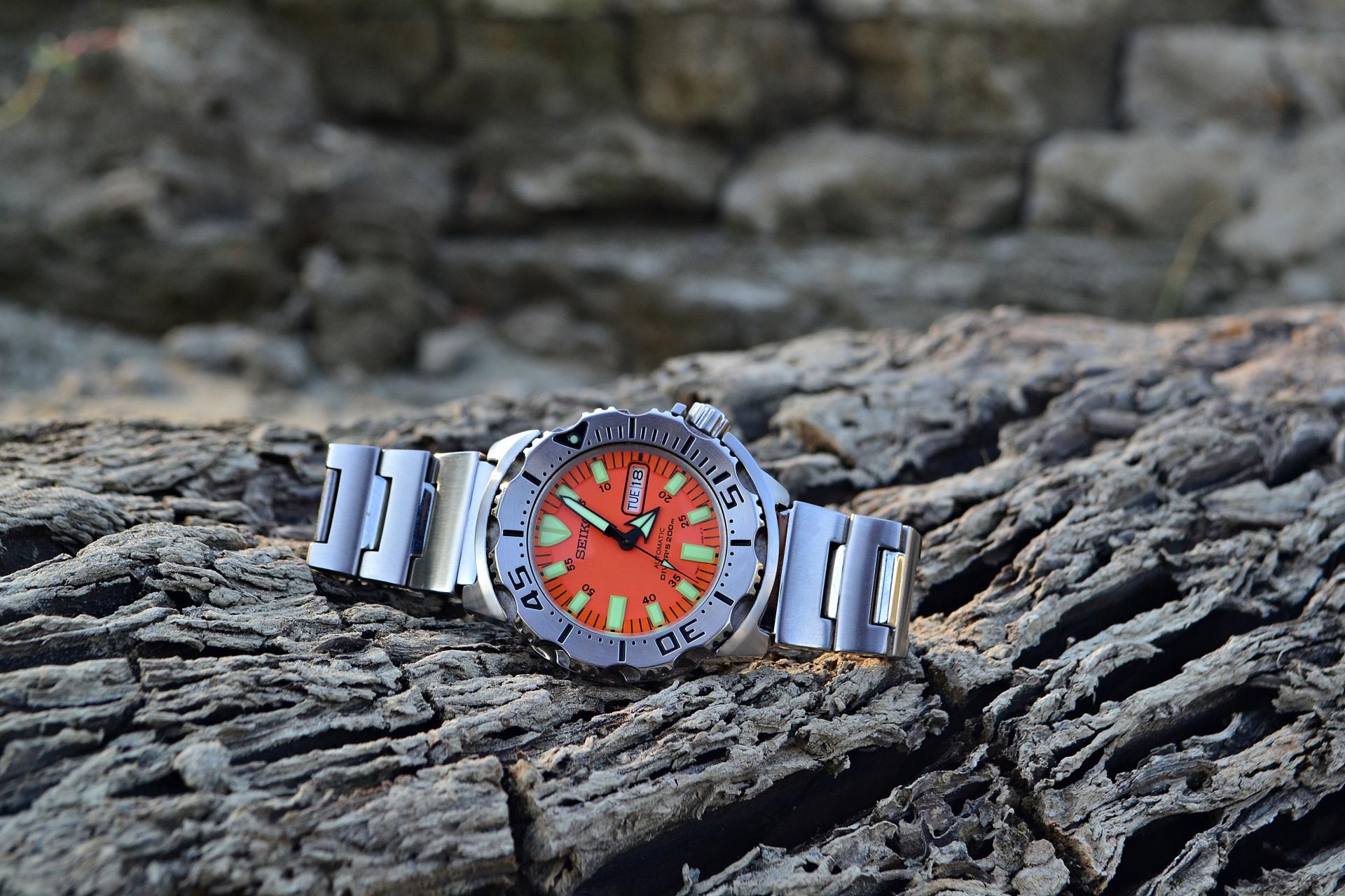 Naziv: DSC_1008 ....jpg, pregleda: 196, veličina: 335,6 KB