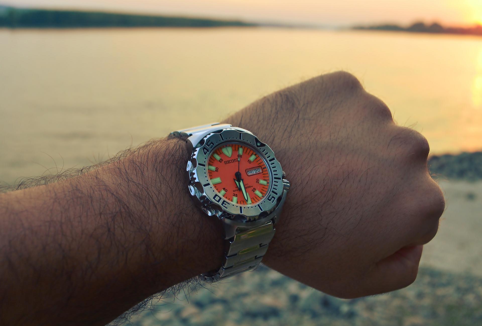 Naziv: DSC_1117 ....jpg, pregleda: 185, veličina: 150,2 KB