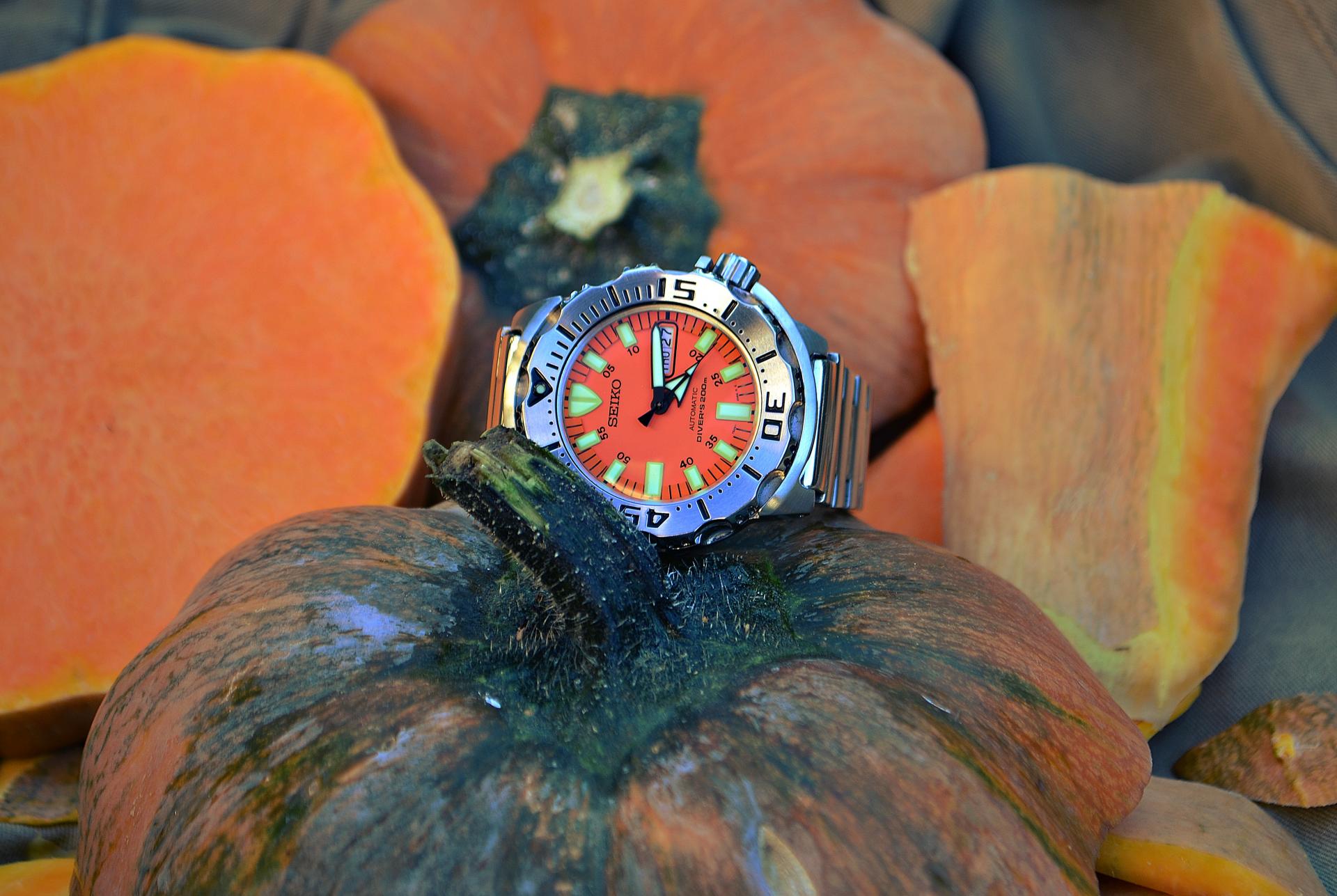 Naziv: DSC_1281 ....jpg, pregleda: 228, veličina: 243,7 KB