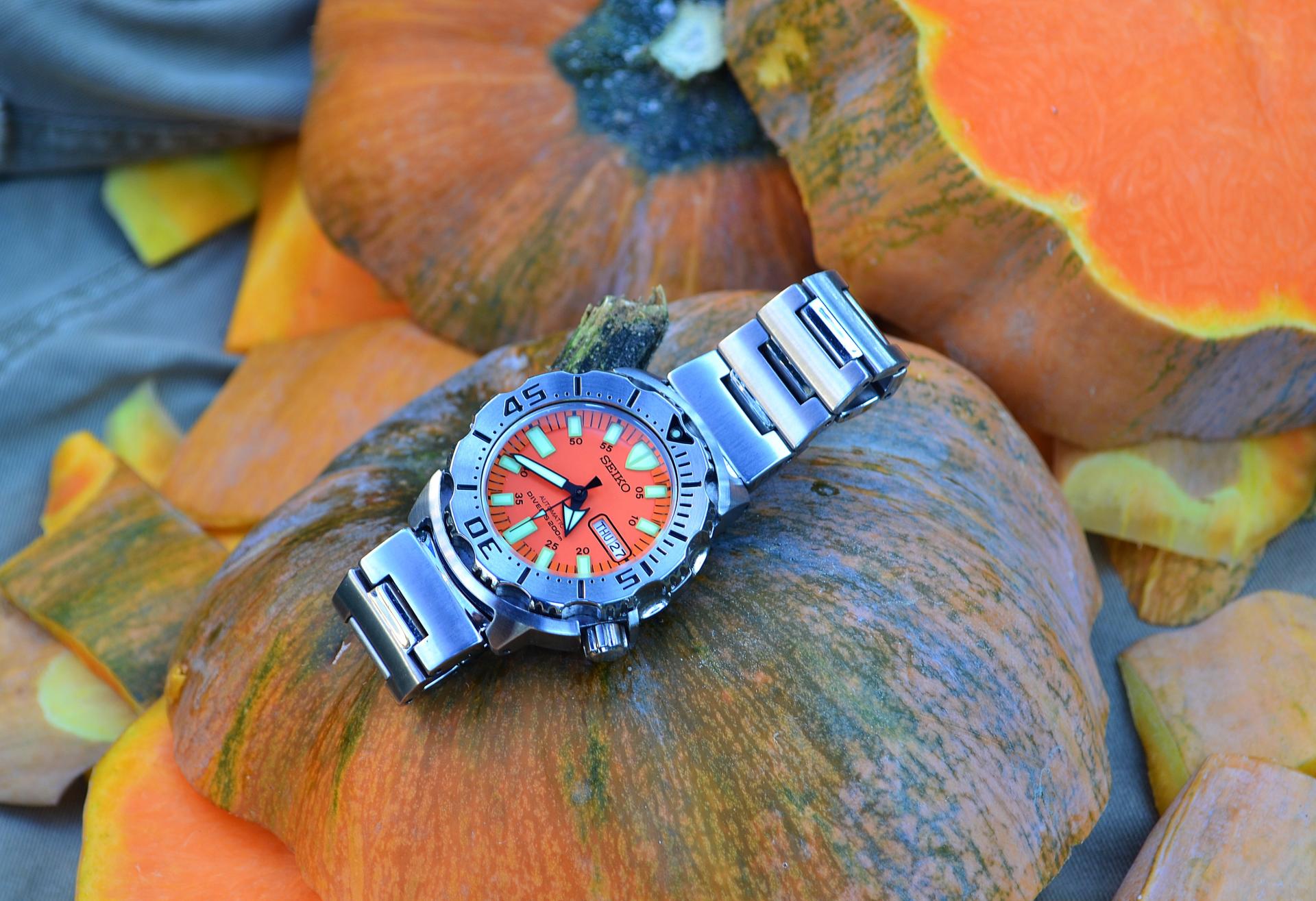 Naziv: DSC_1348 ....jpg, pregleda: 158, veličina: 281,7 KB