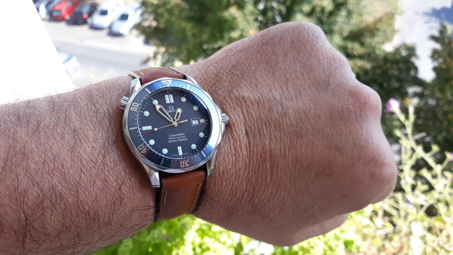 Naziv: 20181007_125510.jpg, pregleda: 189, veličina: 246,7 KB