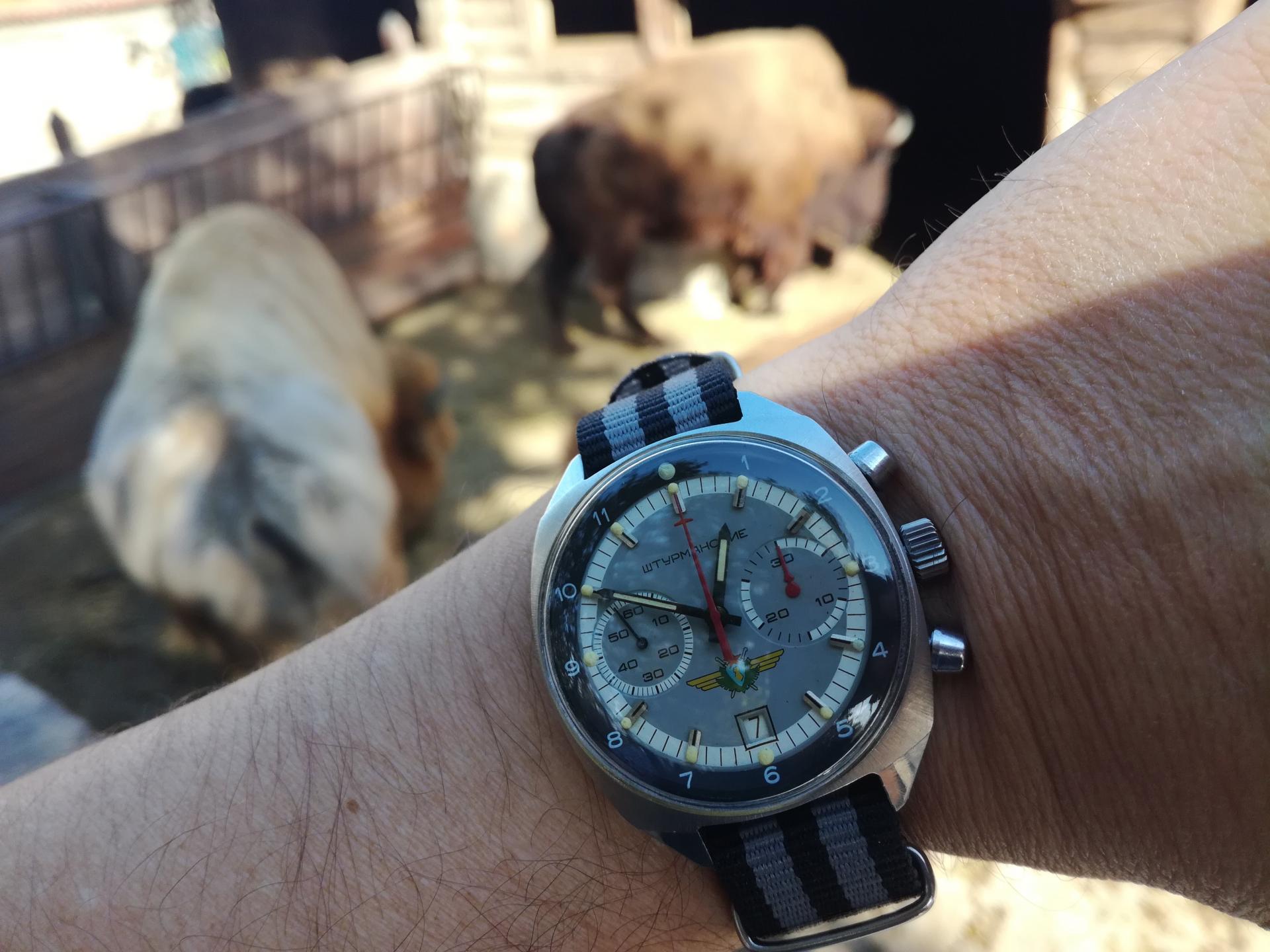 Naziv: IMG_20181007_125014.jpg, pregleda: 243, veličina: 236,9 KB