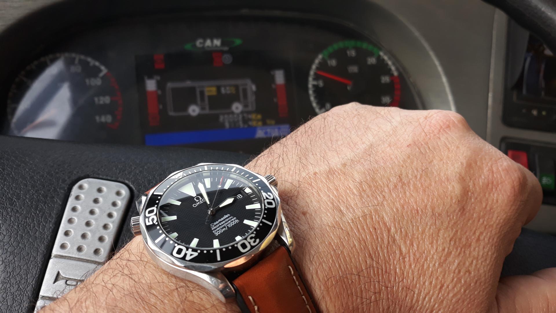 Naziv: 20181018_150331.jpg, pregleda: 169, veličina: 208,3 KB