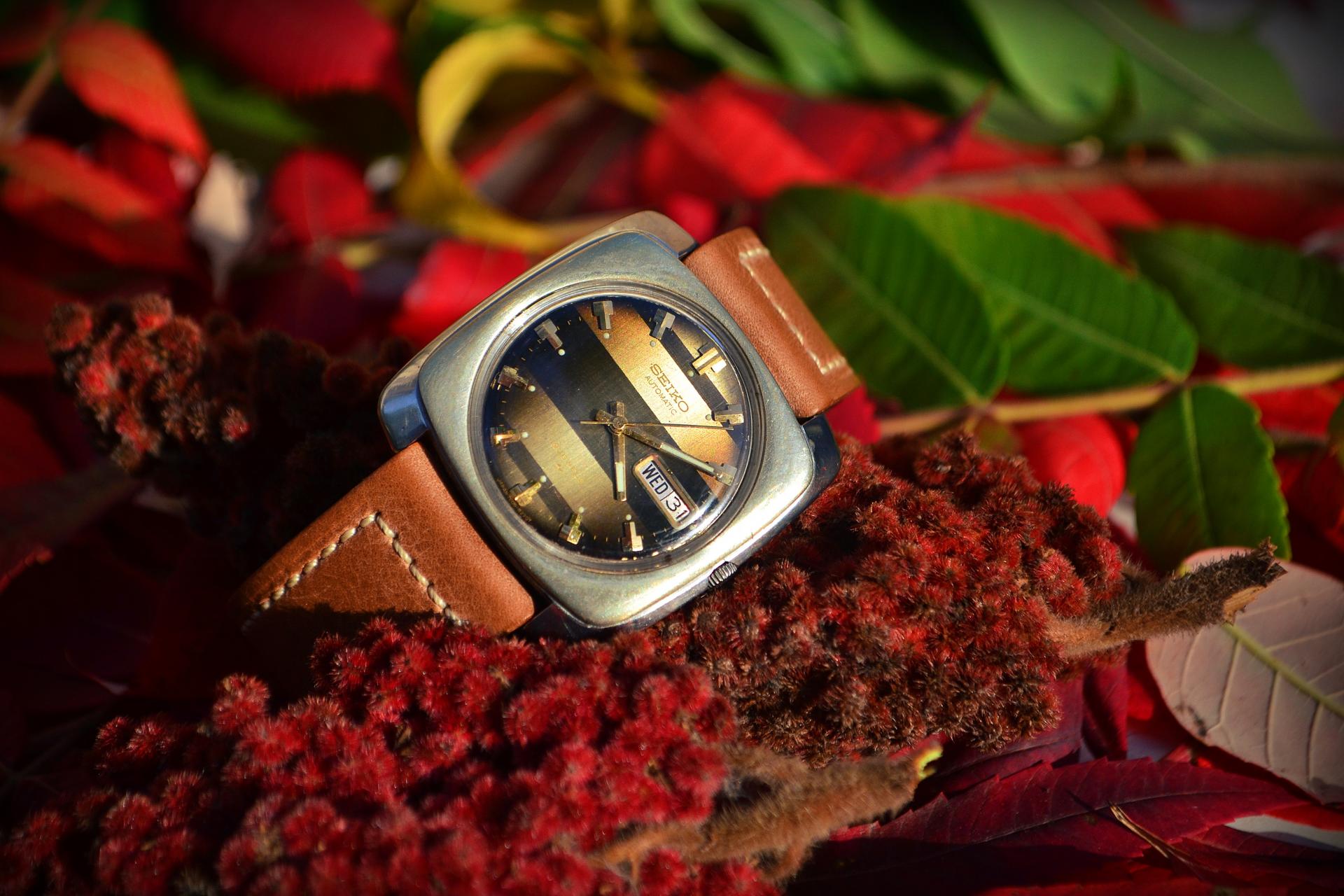 Naziv: DSC_1333 ....jpg, pregleda: 208, veličina: 255,9 KB