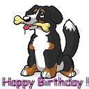 Rođendan :)-berni-srecan-rodjendan.jpg