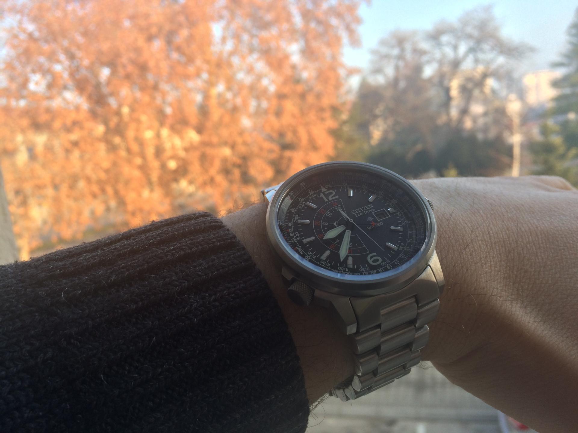 Naziv: IMG_1488.jpg, pregleda: 184, veličina: 208,8 KB