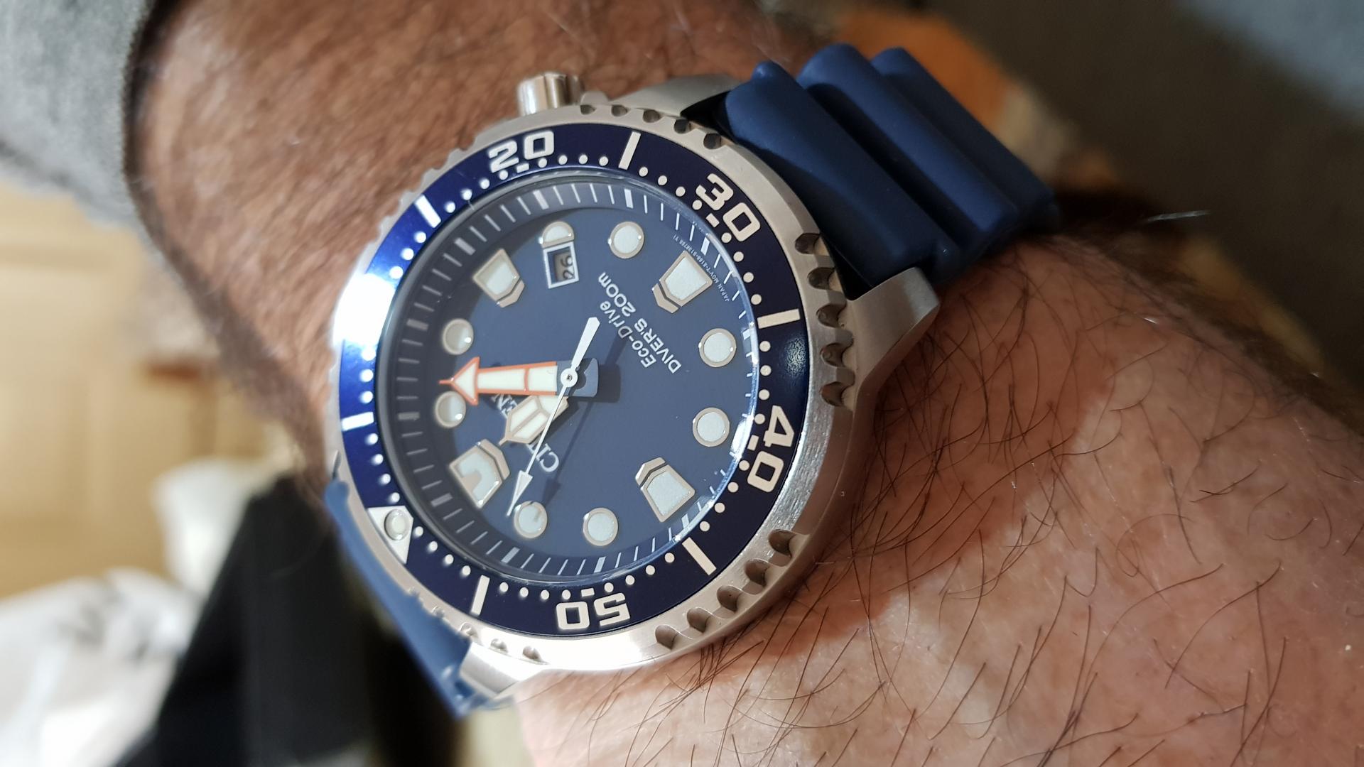 Naziv: Cc20190126_120728.jpg, pregleda: 171, veličina: 169,4 KB