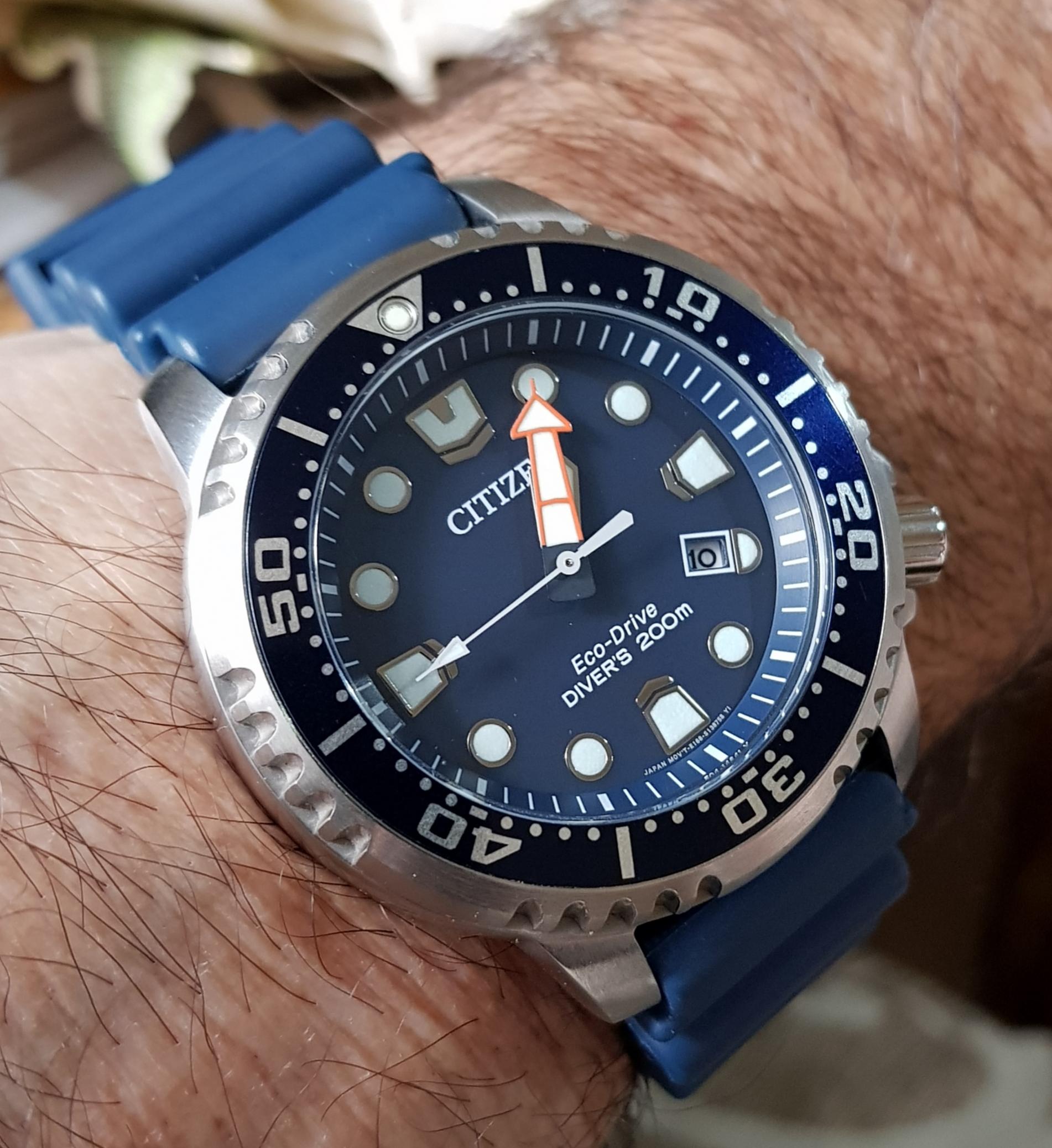 Naziv: T20190210_130602.jpg, pregleda: 207, veličina: 343,5 KB