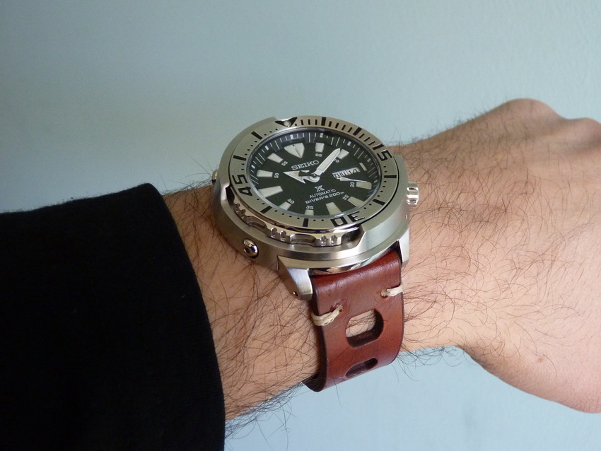 Naziv: P1340689.JPG, pregleda: 235, veličina: 161,8 KB