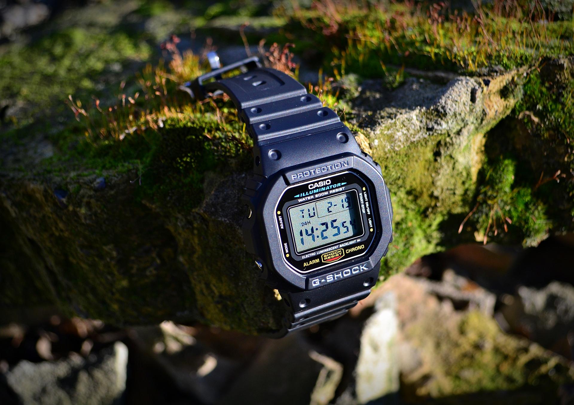 Naziv: DSC_1446 ....jpg, pregleda: 210, veličina: 294,6 KB