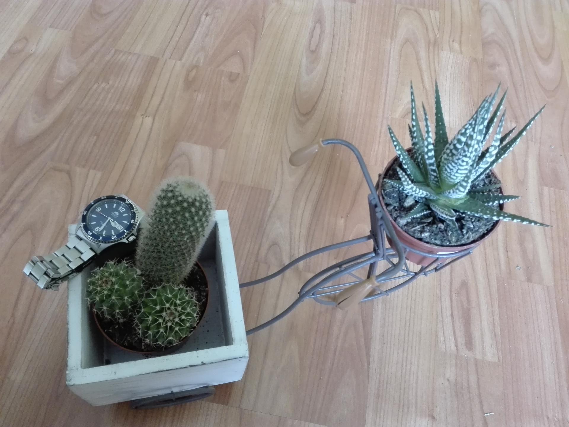 Naziv: IMG_20190403_152802.jpg, pregleda: 181, veličina: 253,1 KB