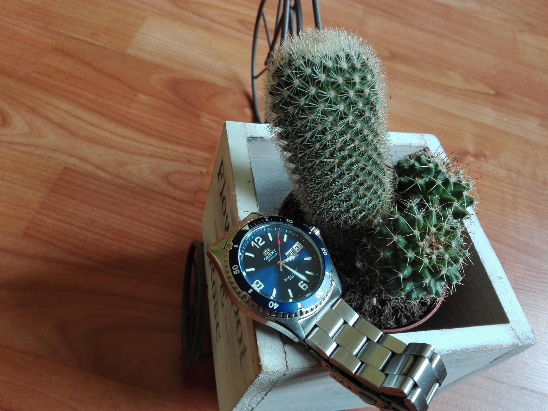 Naziv: IMG_20190403_152826.jpg, pregleda: 178, veličina: 348,8 KB