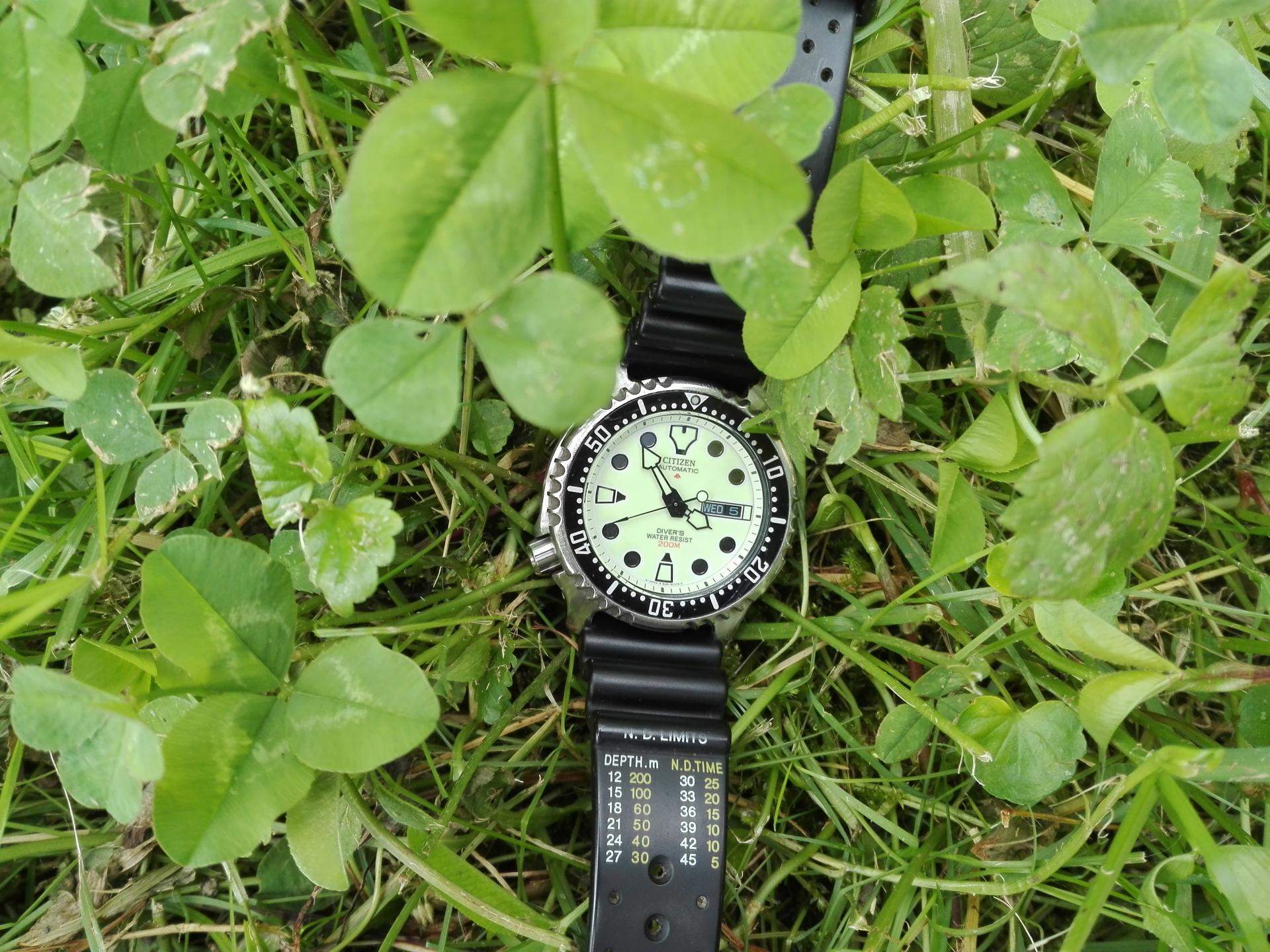 Naziv: IMG_20190605_155335.jpg, pregleda: 221, veličina: 394,4 KB