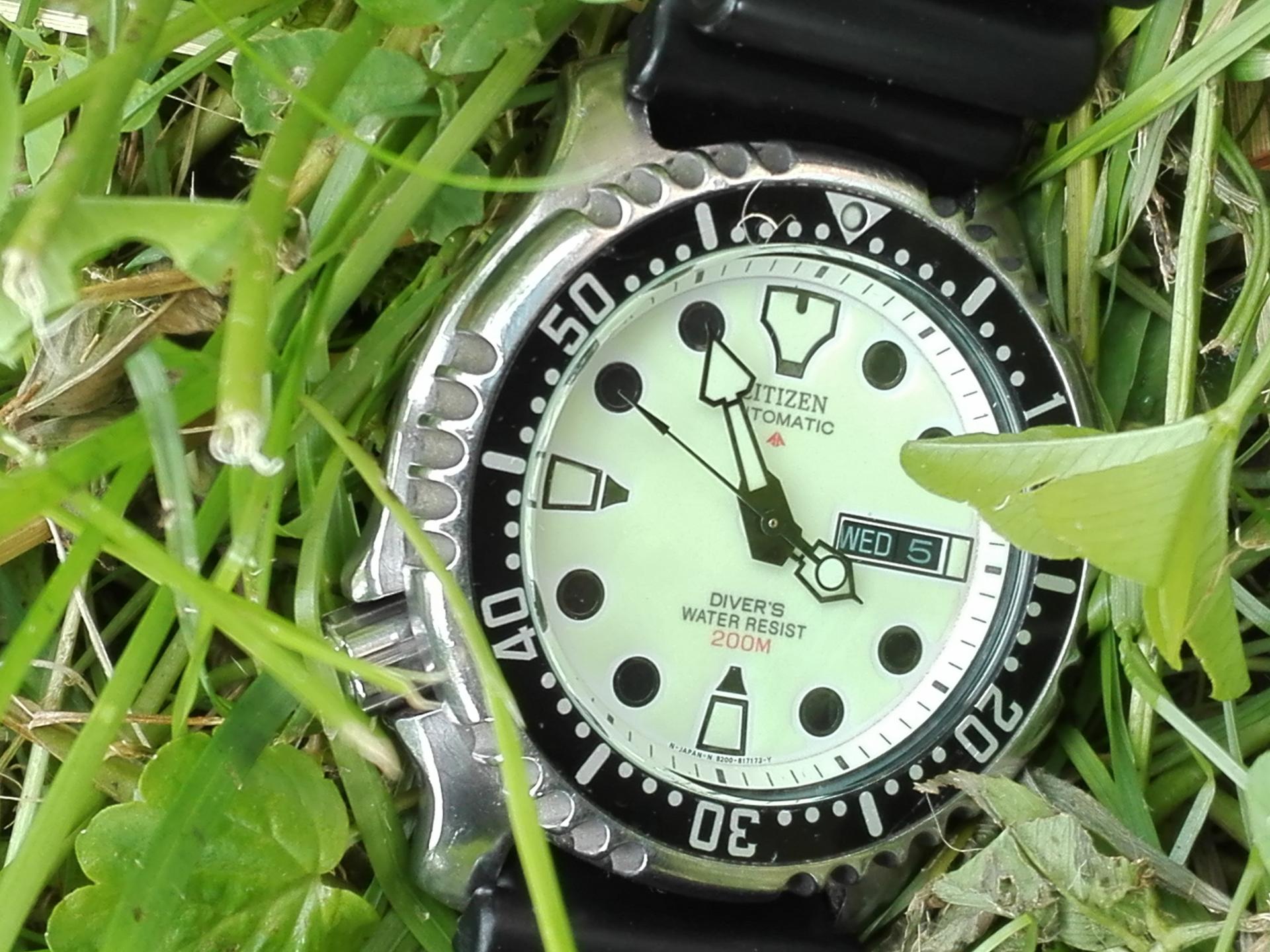 Naziv: IMG_20190605_155443.jpg, pregleda: 214, veličina: 320,1 KB