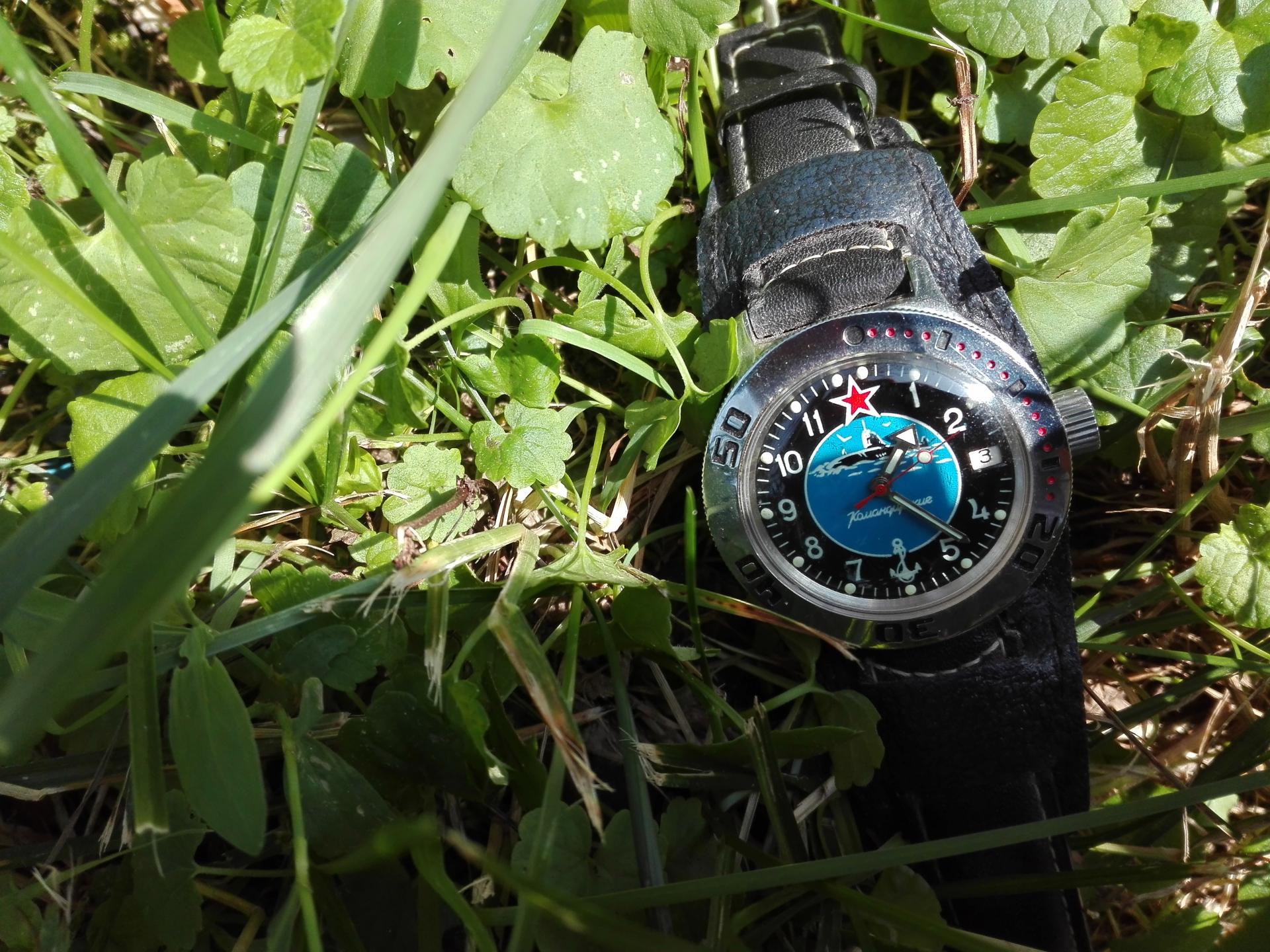 Naziv: IMG_20190703_132756.jpg, pregleda: 374, veličina: 418,6 KB