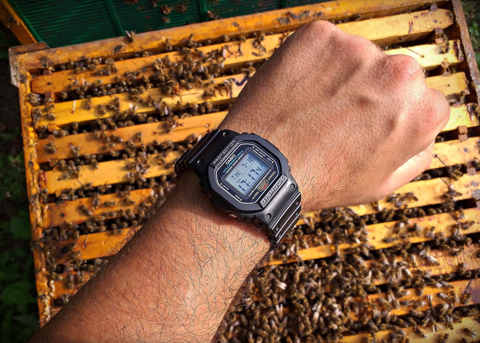 Naziv: 20190718_171758 ....jpg, pregleda: 364, veličina: 492,8 KB