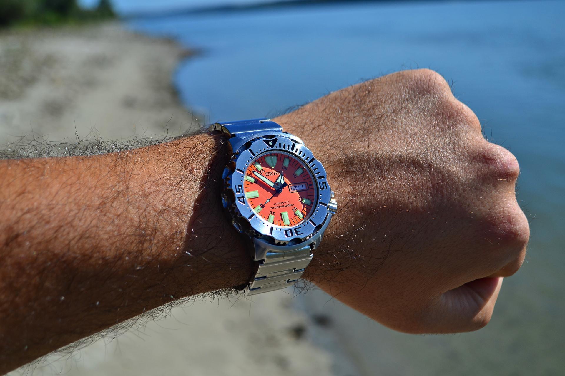 Naziv: DSC_0118 ....jpg, pregleda: 638, veličina: 246,9 KB