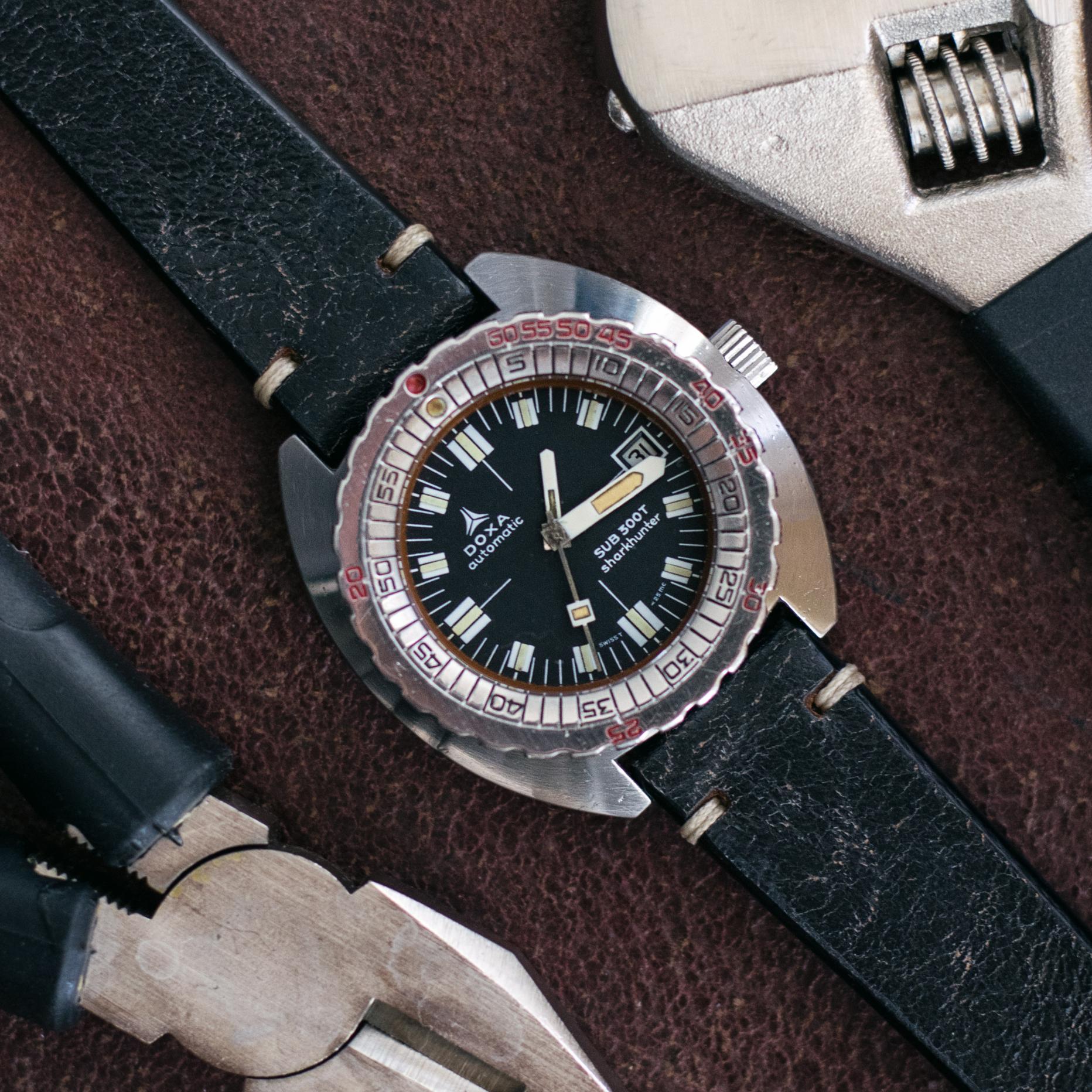 Naziv: DSC_0951.jpg, pregleda: 611, veličina: 491,9 KB