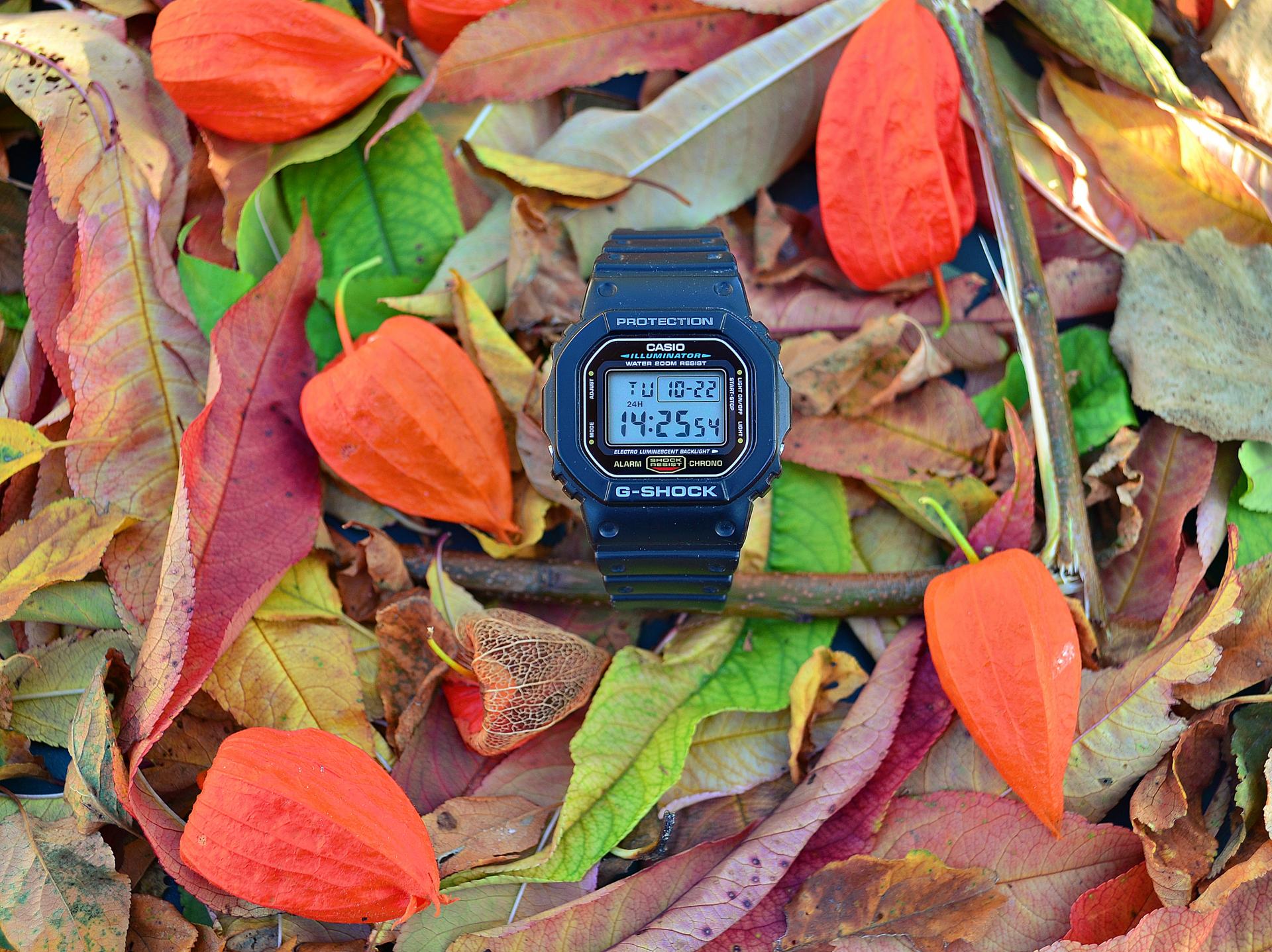 Naziv: DSC_0101 ....jpg, pregleda: 274, veličina: 419,9 KB