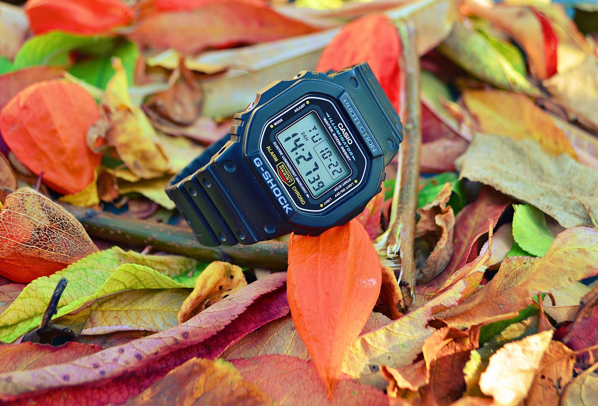 Naziv: DSC_0108 ...,.jpg, pregleda: 270, veličina: 346,8 KB