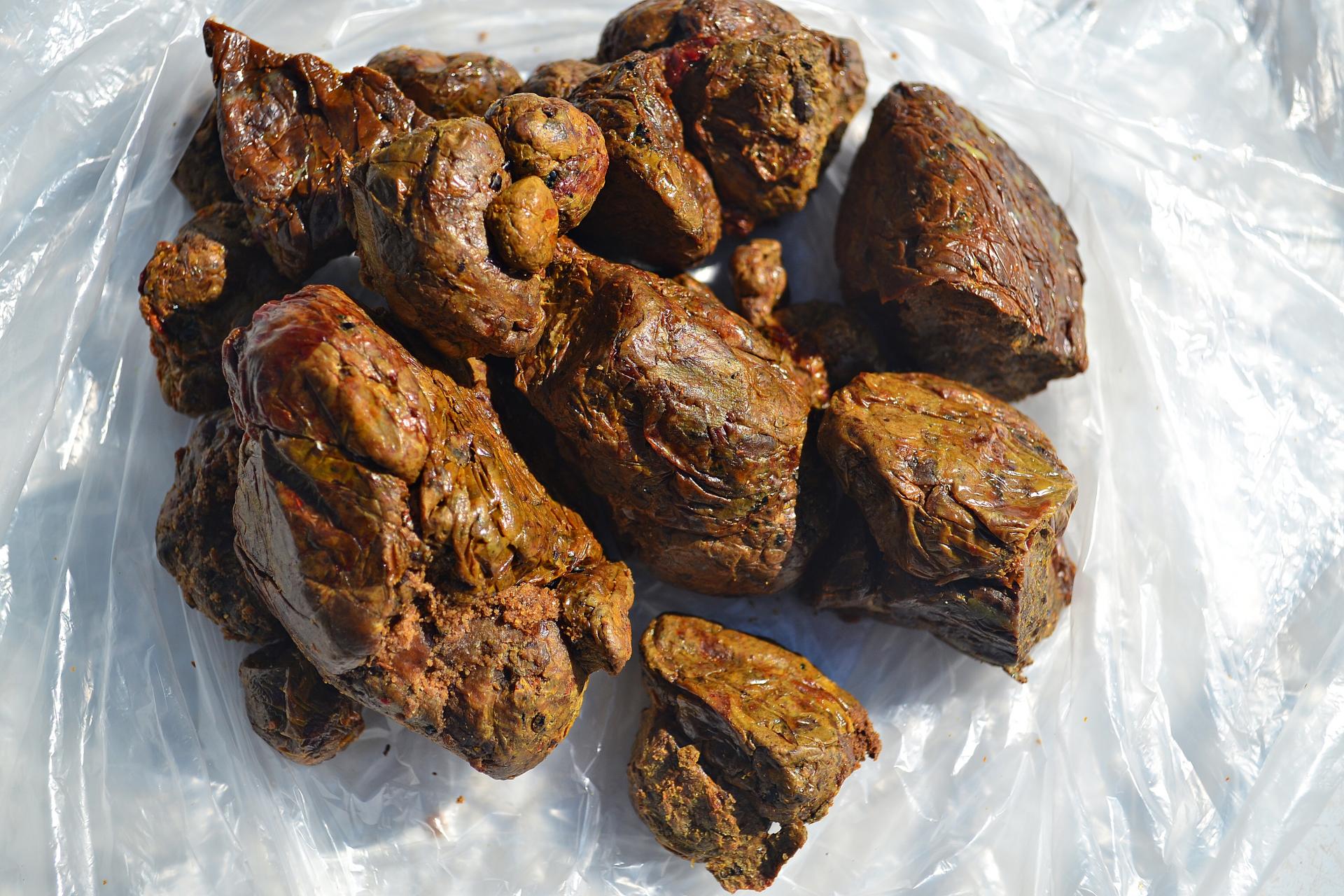 Naziv: DSC_0057 ....jpg, pregleda: 315, veličina: 369,0 KB