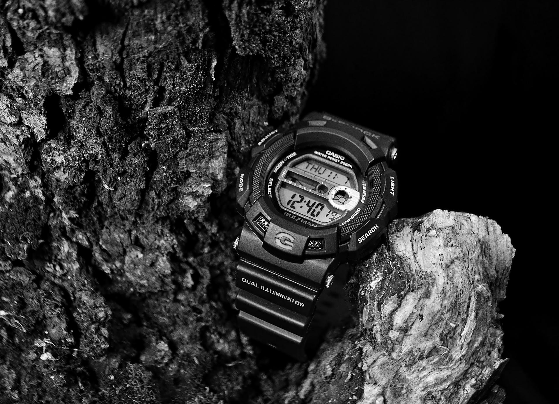 Naziv: DSC_0099 ...,.jpg, pregleda: 1023, veličina: 454,2 KB