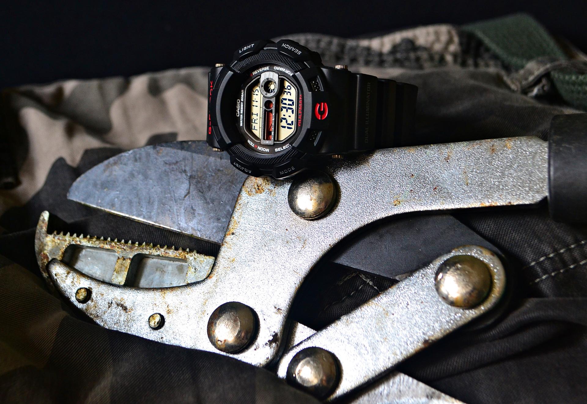 Naziv: DSC_0083 ....jpg, pregleda: 244, veličina: 357,1 KB