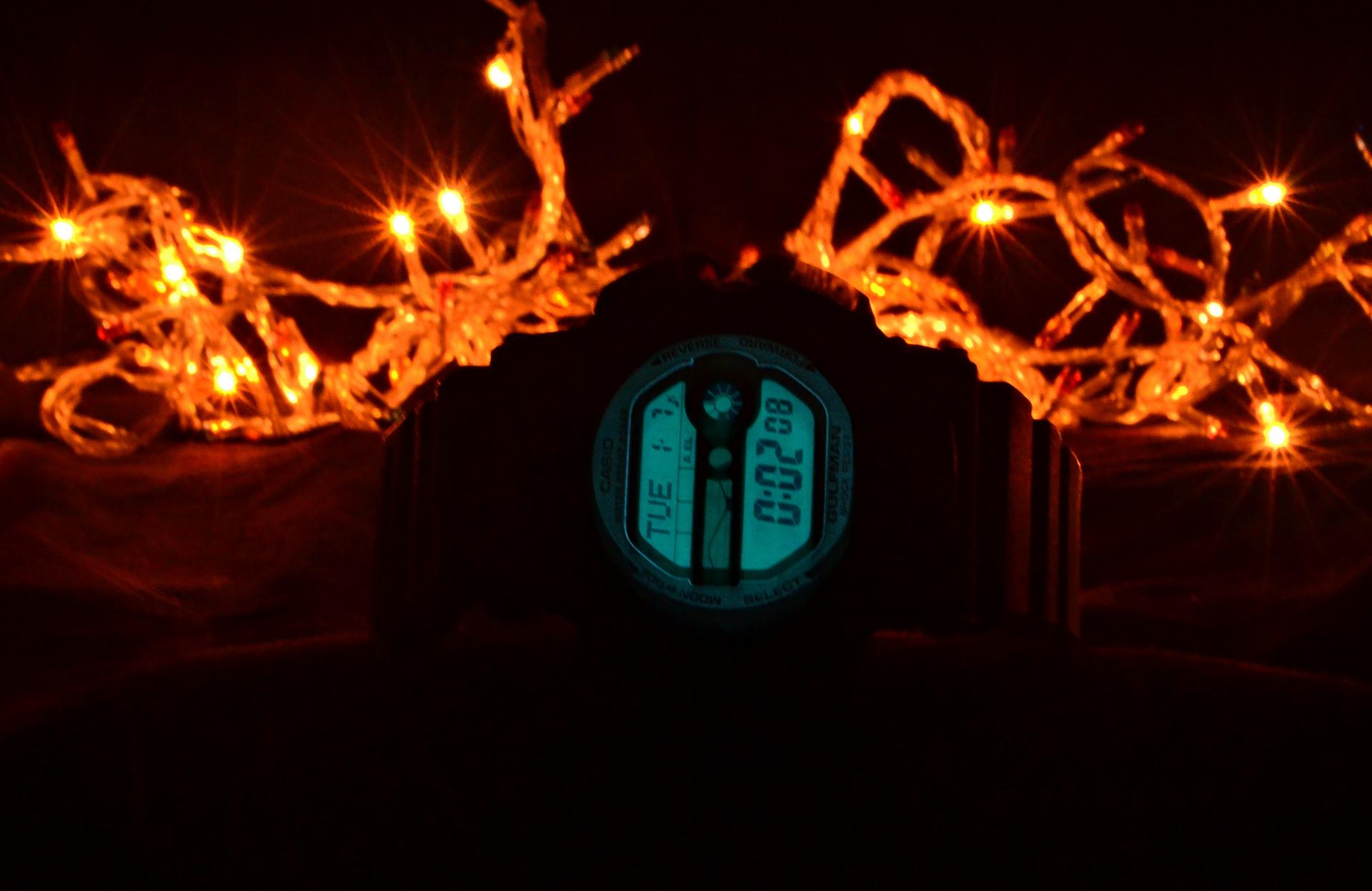 Naziv: DSC_0121 ....jpg, pregleda: 174, veličina: 137,0 KB