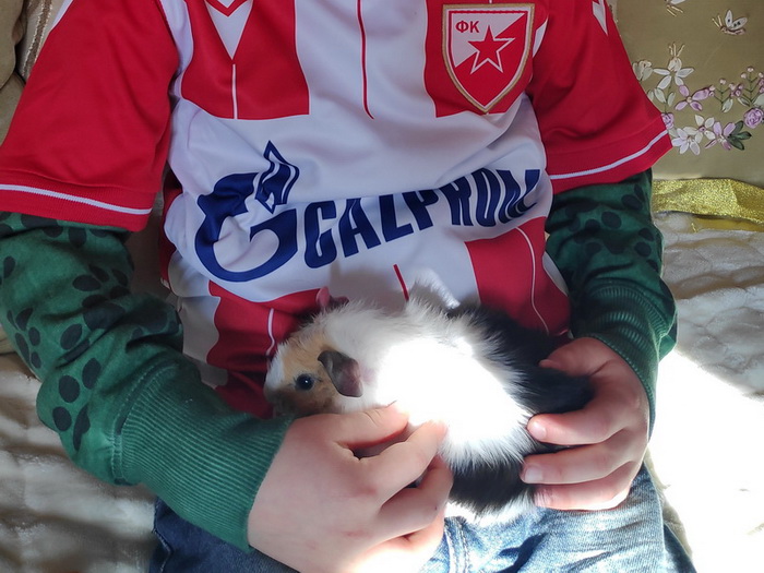 Naziv: IMG_20200101_113727_1.jpg, pregleda: 363, veličina: 128,4 KB