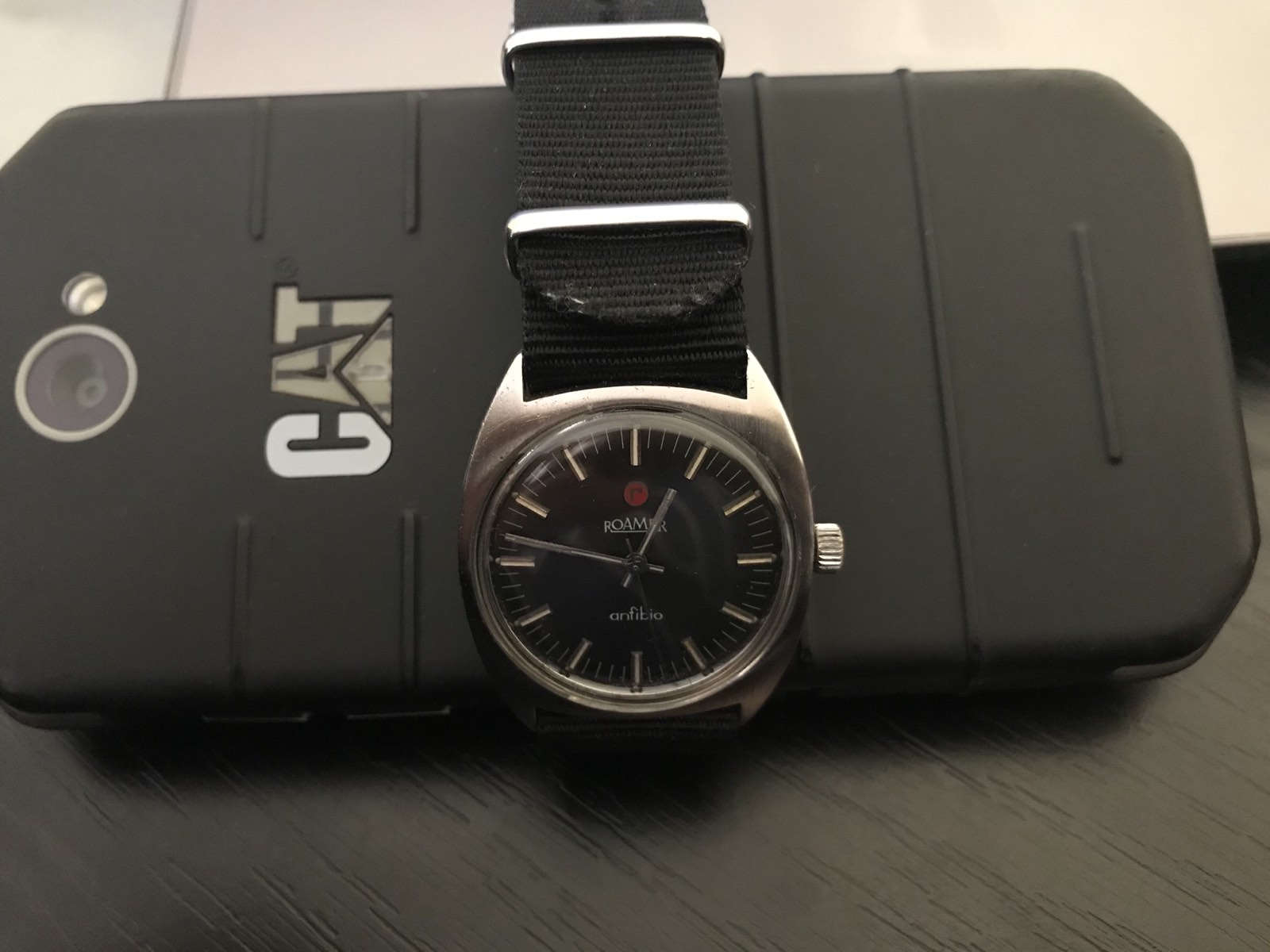 Naziv: roamer.jpg, pregleda: 228, veličina: 189,9 KB