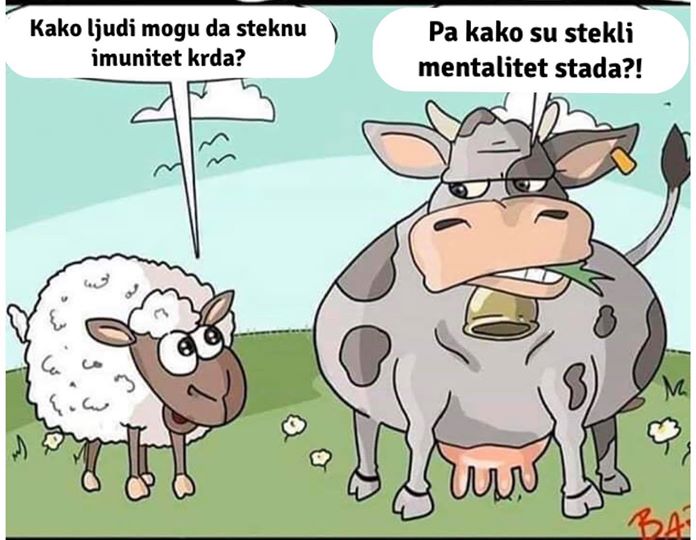 Naziv: 107697018_3467592143298675_6317841595036387832_o.jpg, pregleda: 737, veličina: 60,3 KB