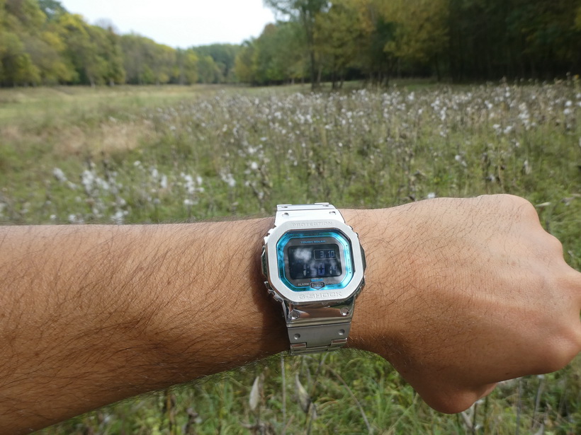 Naziv: P1050021.JPG, pregleda: 170, veličina: 205,6 KB