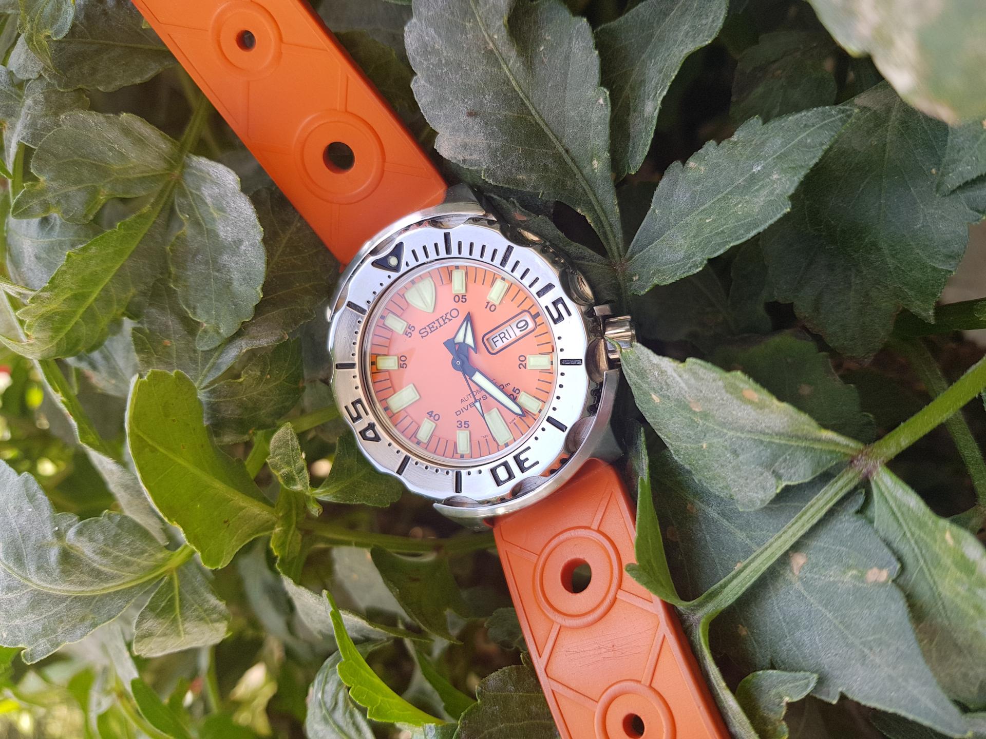 Naziv: 20201009_132732.jpg, pregleda: 158, veličina: 389,3 KB